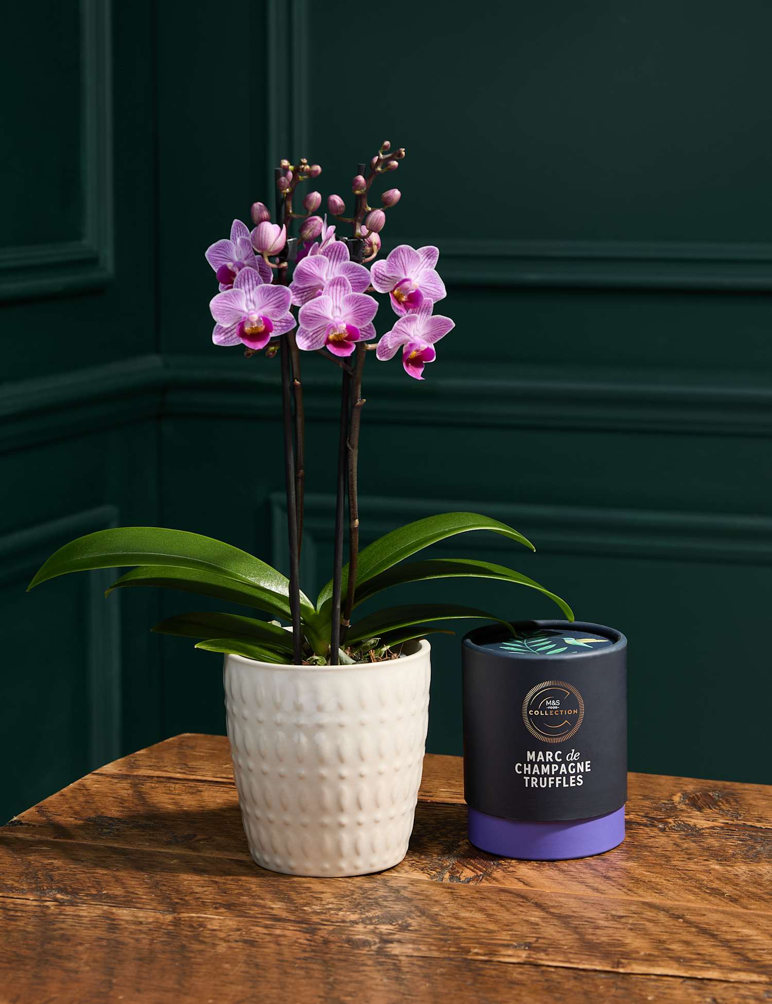 M&S Flower Market Pink Orchid with Marc De Champagne Chocolates