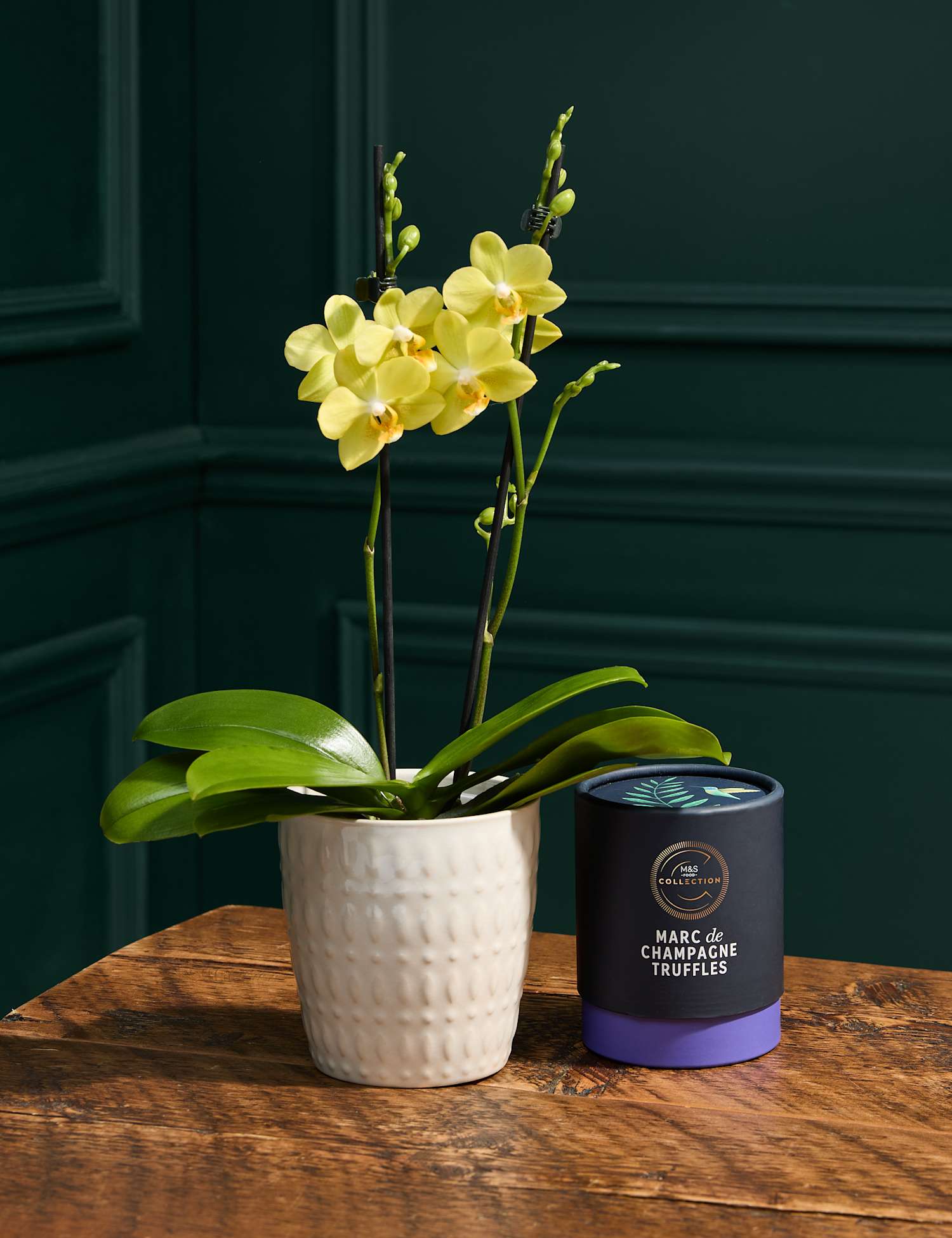 M&S Flower Market Yellow Orchid with Marc De Champagne Chocolates