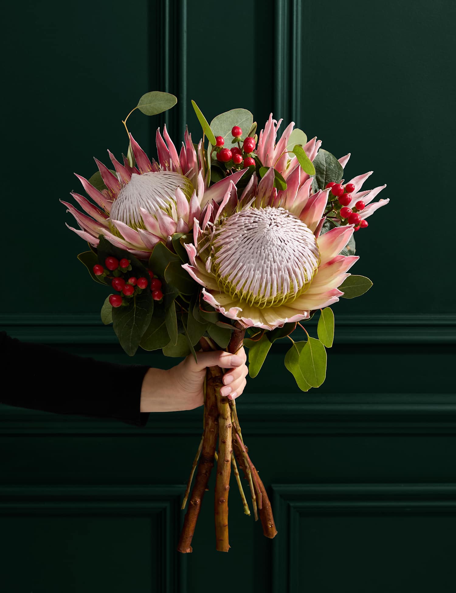 M&S Flower Market King Protea Bouquet