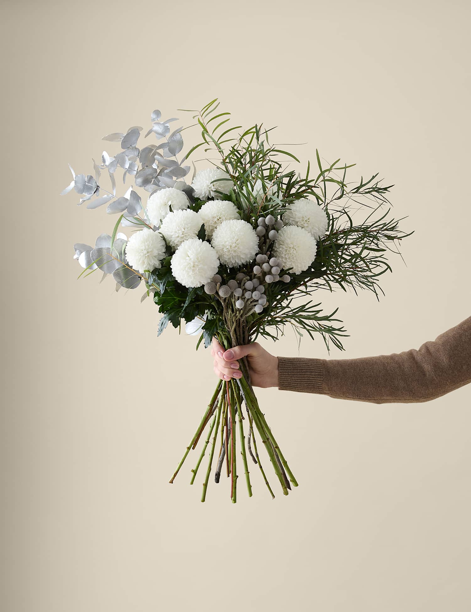 Image of M&S X Kelly Hoppen Festive Chrysanthemum&hellip;