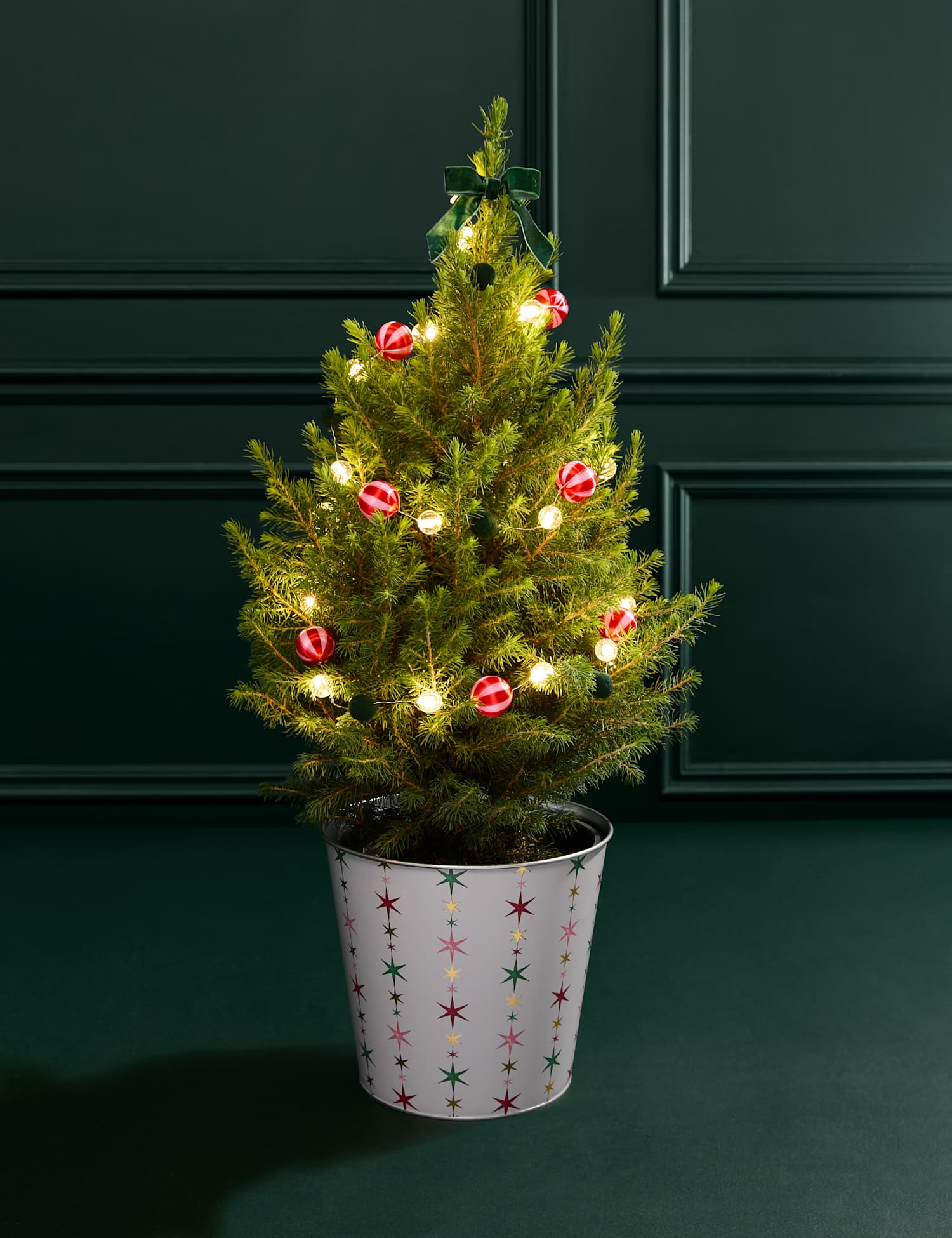 M&S Flower Market Luxury Real Christmas Tree with Festive Star Pot