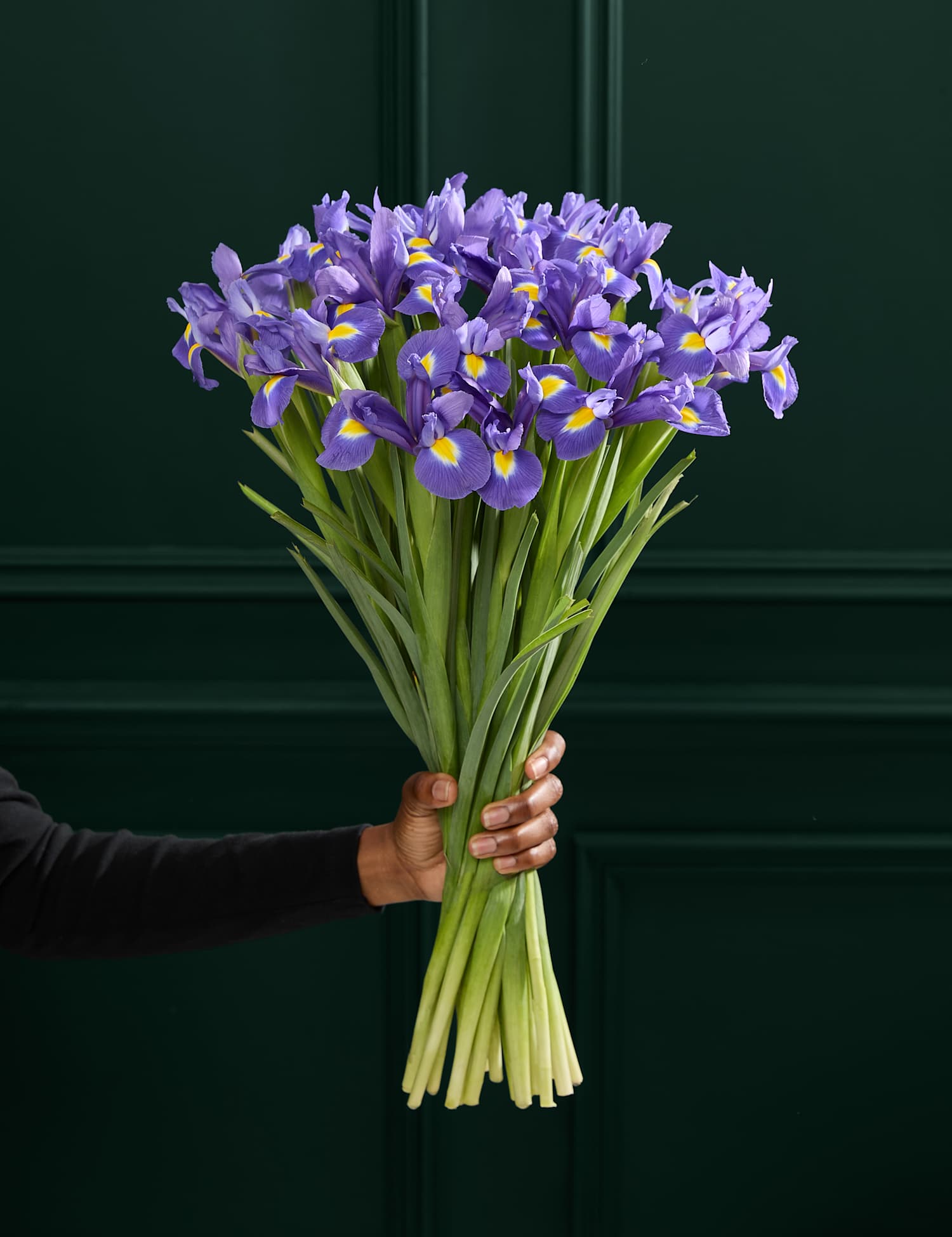 Image of M&S Flower Market Blue Iris Letterbox&hellip;