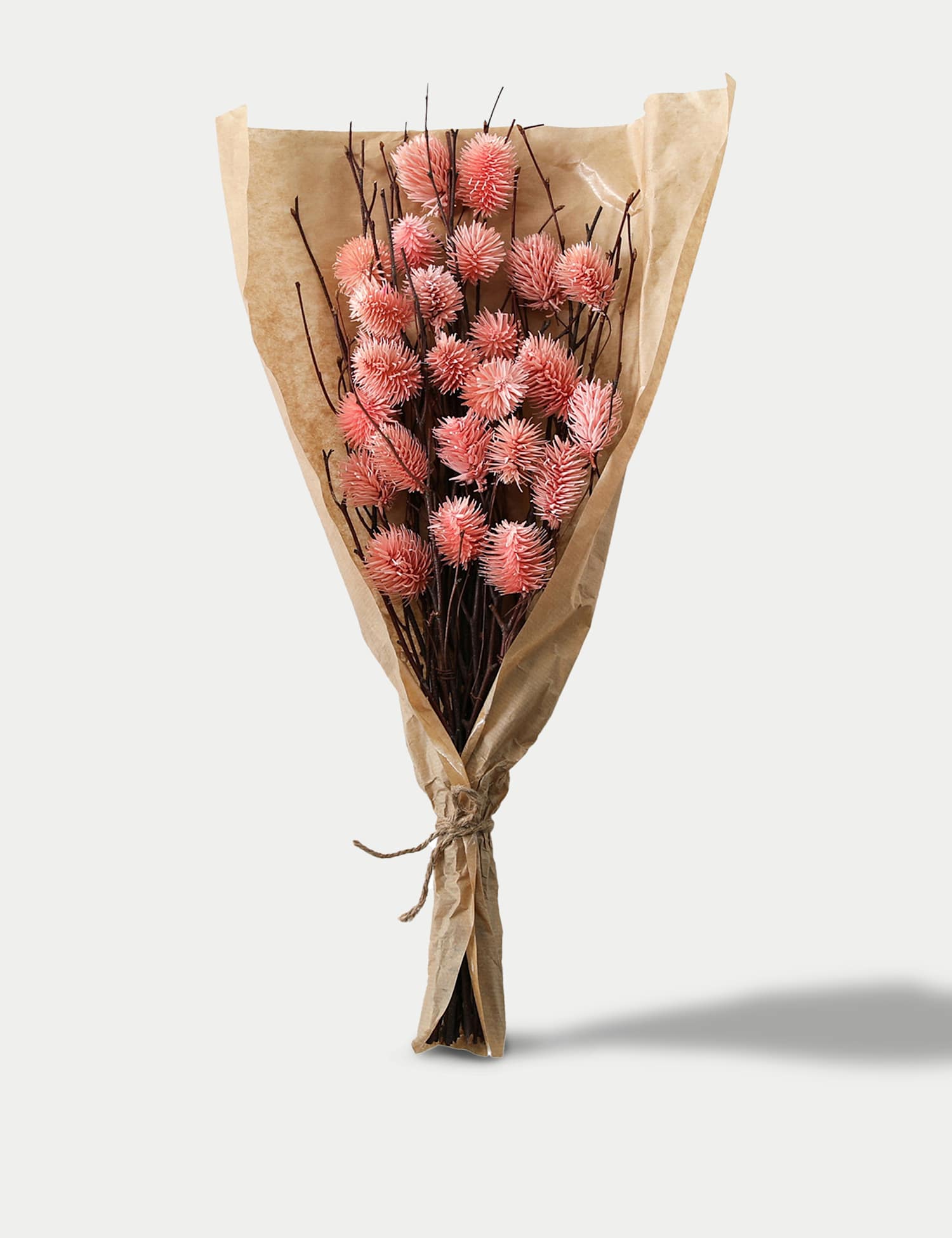 Gallery Direct Dried Thistle Bouquet Pink
