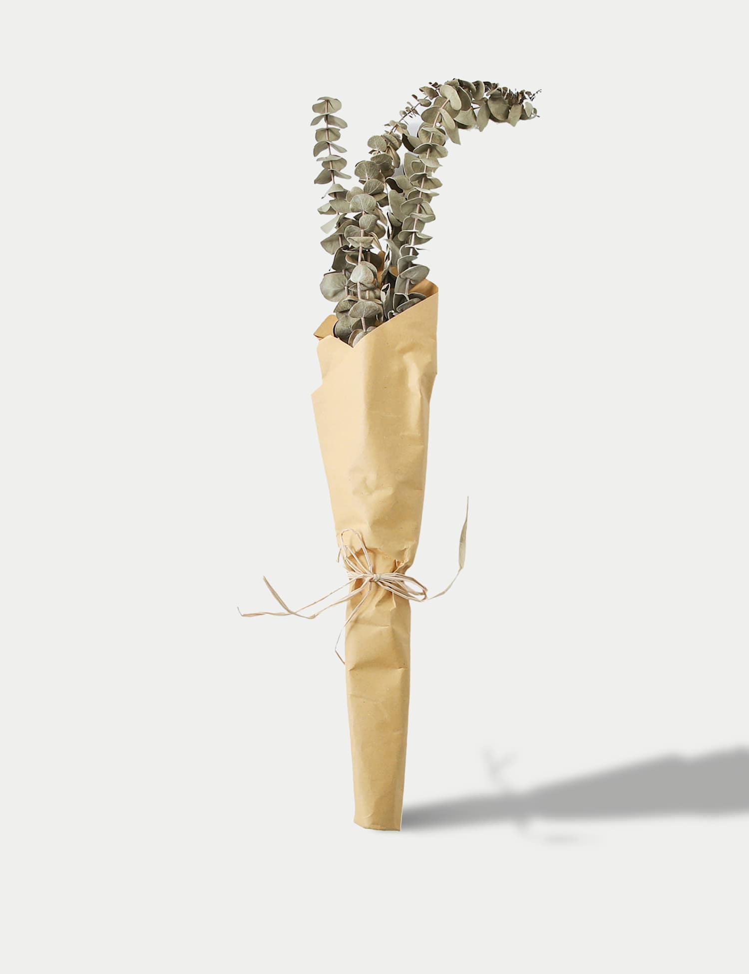 Gallery Direct Dried Eucalyptus Bouquet Green