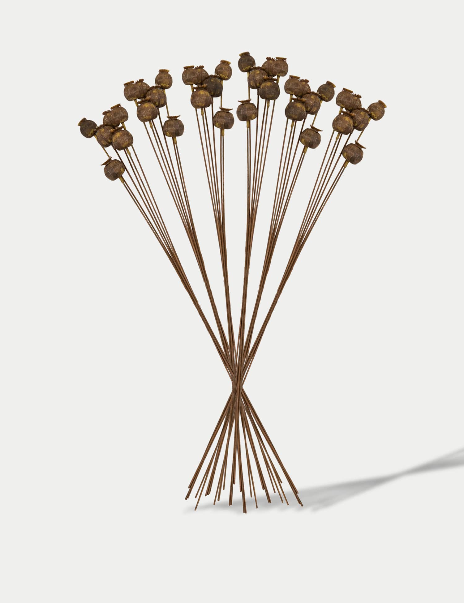 Gallery Direct Set of 6 Artificial Dried Poppy Pod Single Stems Cream