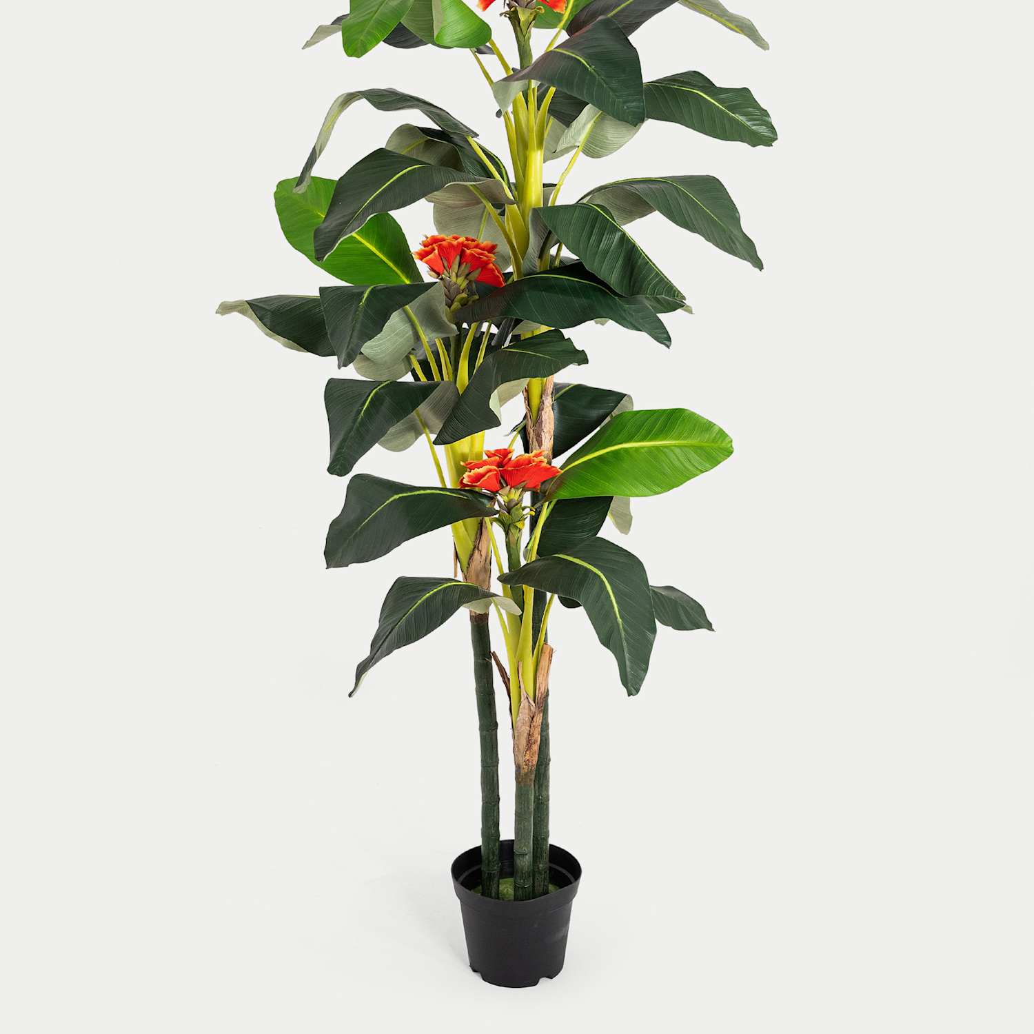 Blooming Artificial 6ft Artificial Banana Tree in Pot - Green - Available at M&S