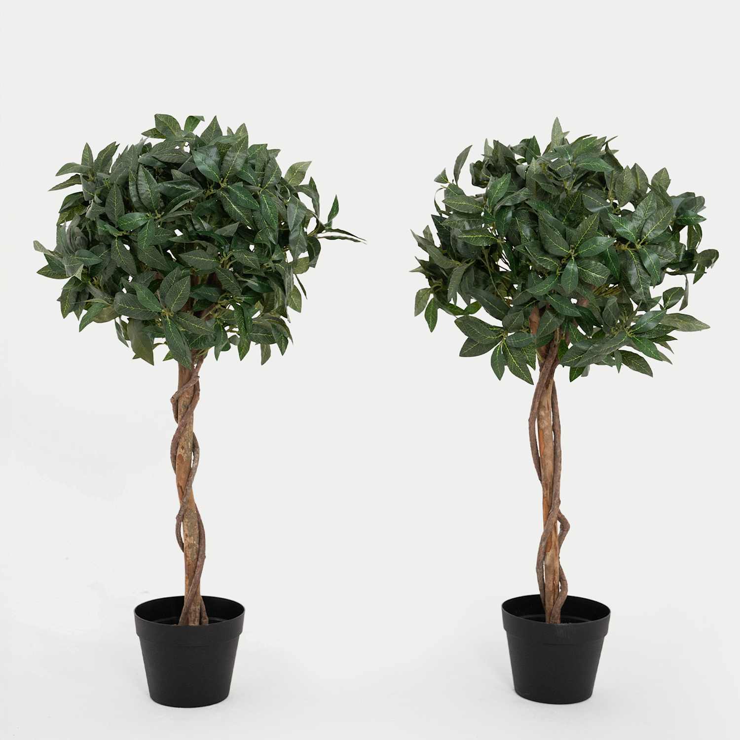 Blooming Artificial 3ft Set of 2 Artificial Bay Trees in Pots - Green - Available at M&S