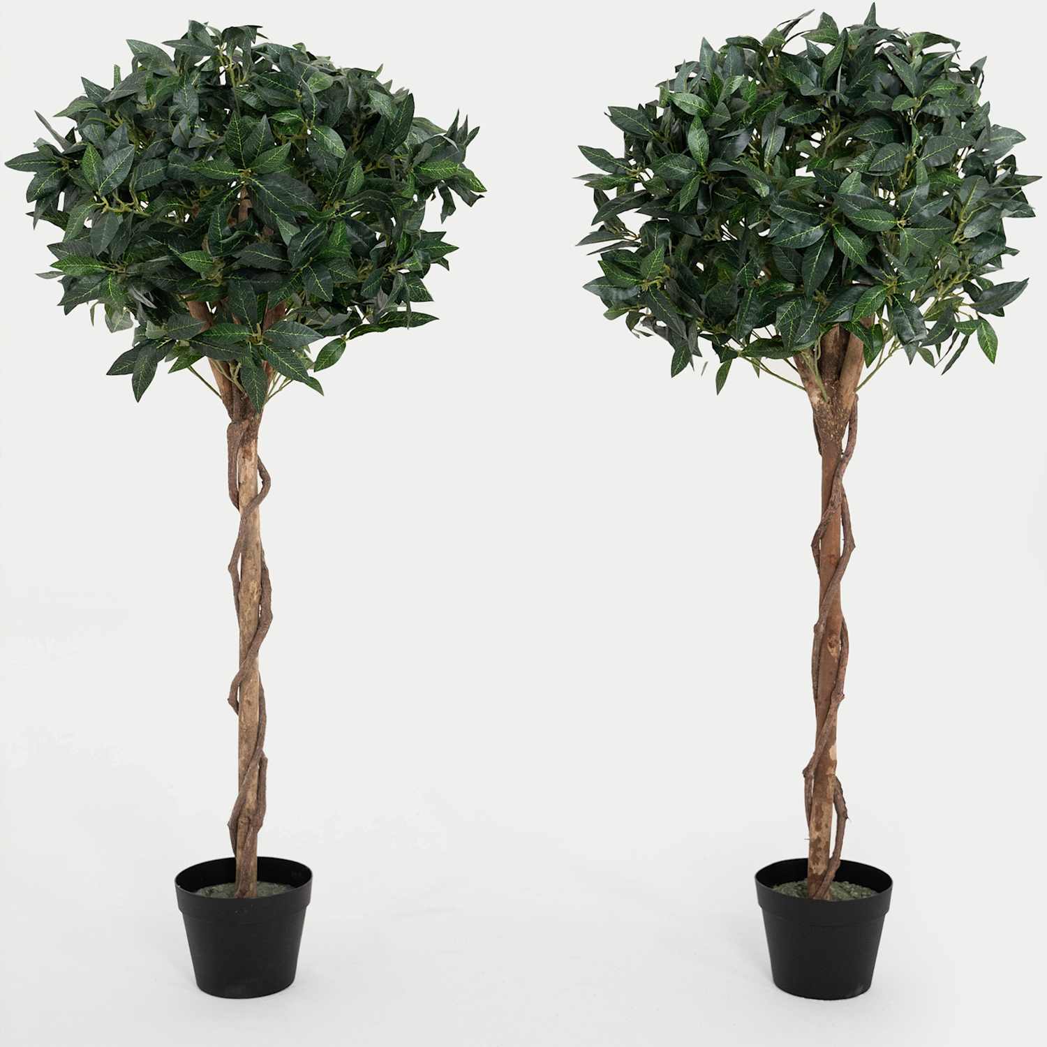 Blooming Artificial 4ft Set of 2 Artificial Bay Trees in Pots - Green - Available at M&S