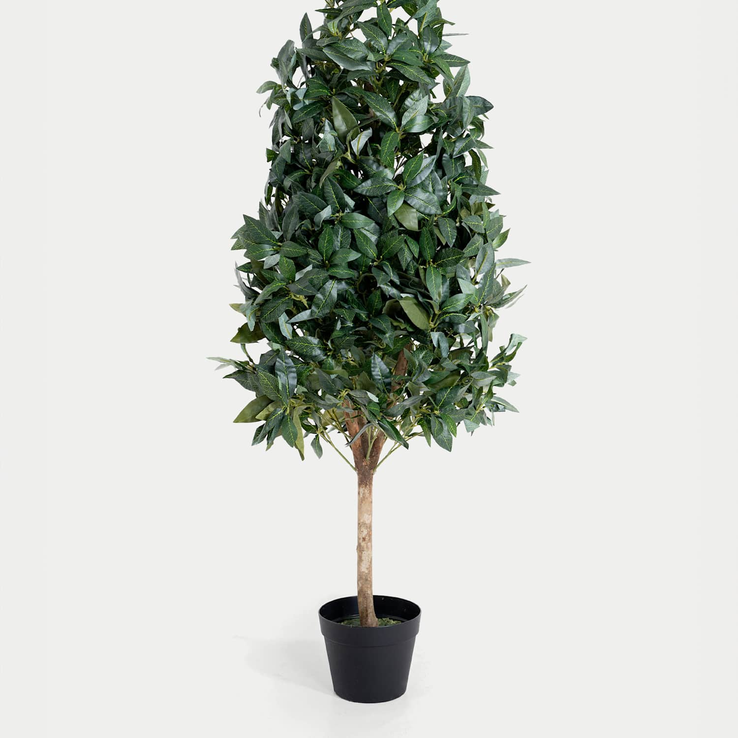 Blooming Artificial 4ft Artificial Bay Cone Tree in Pot - Green - Available at M&S