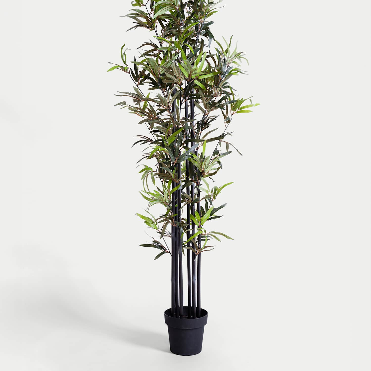Blooming Artificial 5.5ft Artificial Black Stem Bamboo in Pot - Green - Available at M&S