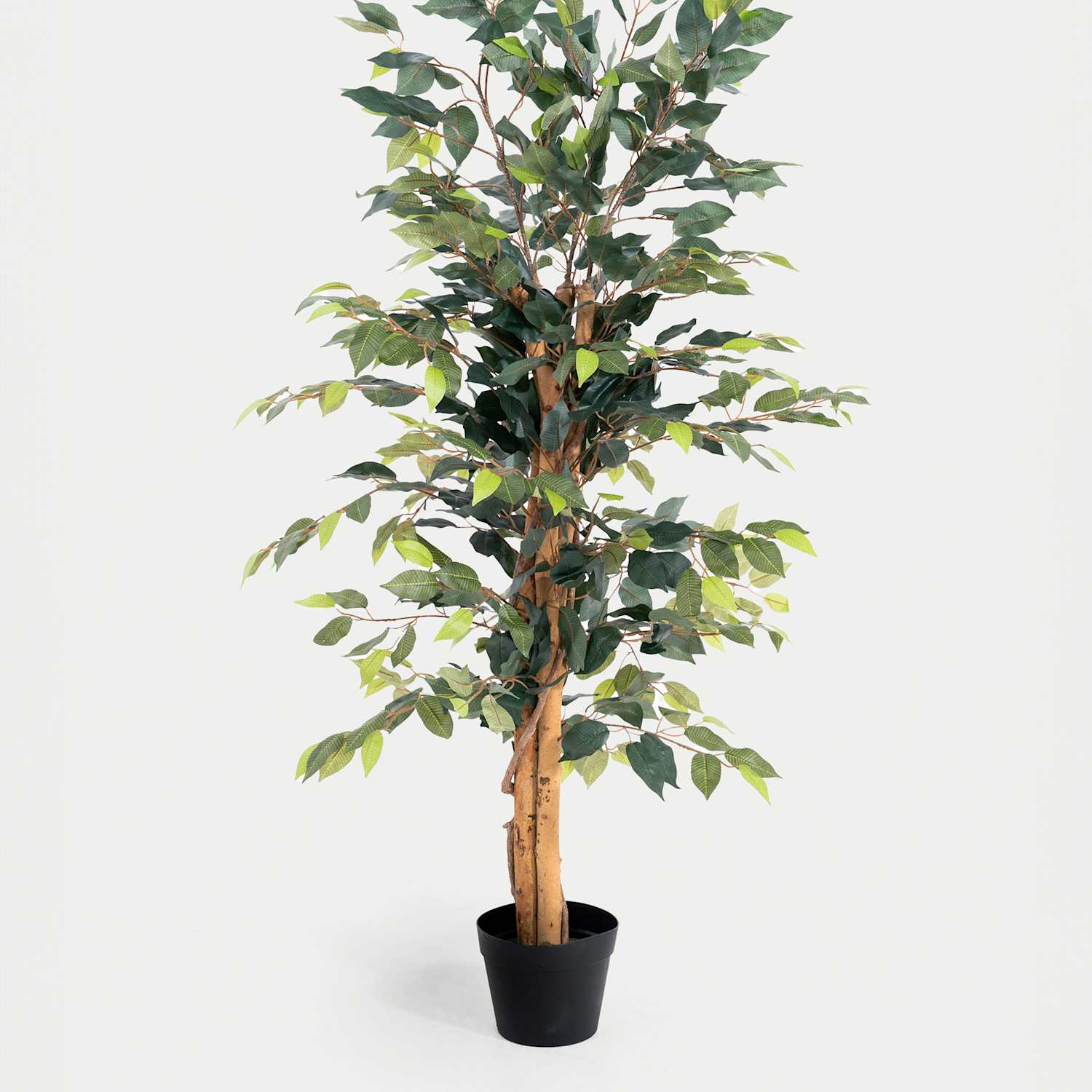 Blooming Artificial 4ft Artificial Ficus Tree in Pot - Green - Available at M&S