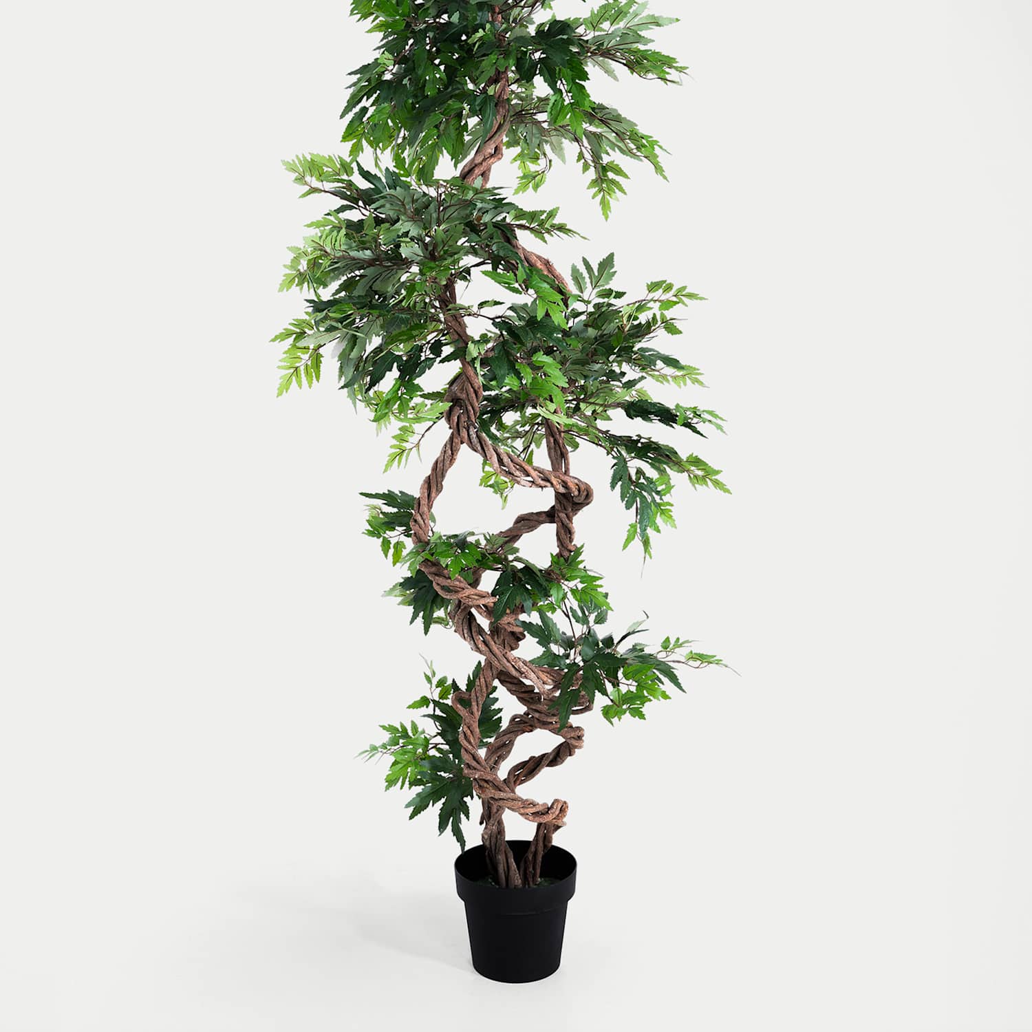 Blooming Artificial 5.5ft Artificial Fruticosa Tree in Pot - Green - Available at M&S