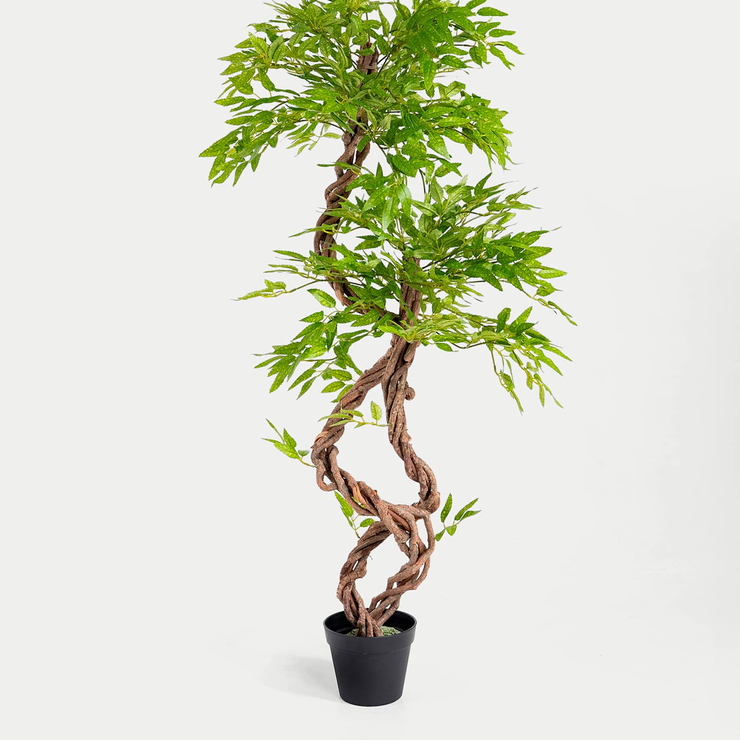 Blooming Artificial 4ft Artificial Japanese Fruticosa Tree in Pot - Green - Available at M&S