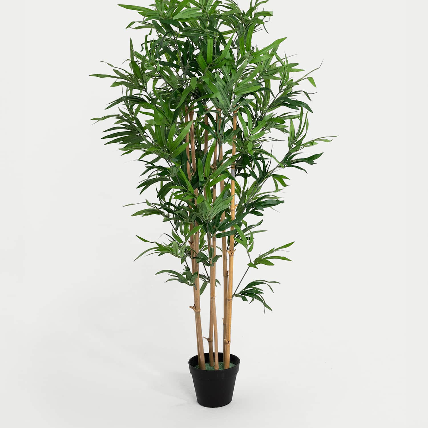 Blooming Artificial 4ft Artificial Oriental Bamboo Plant in Pot - Green - Available at M&S