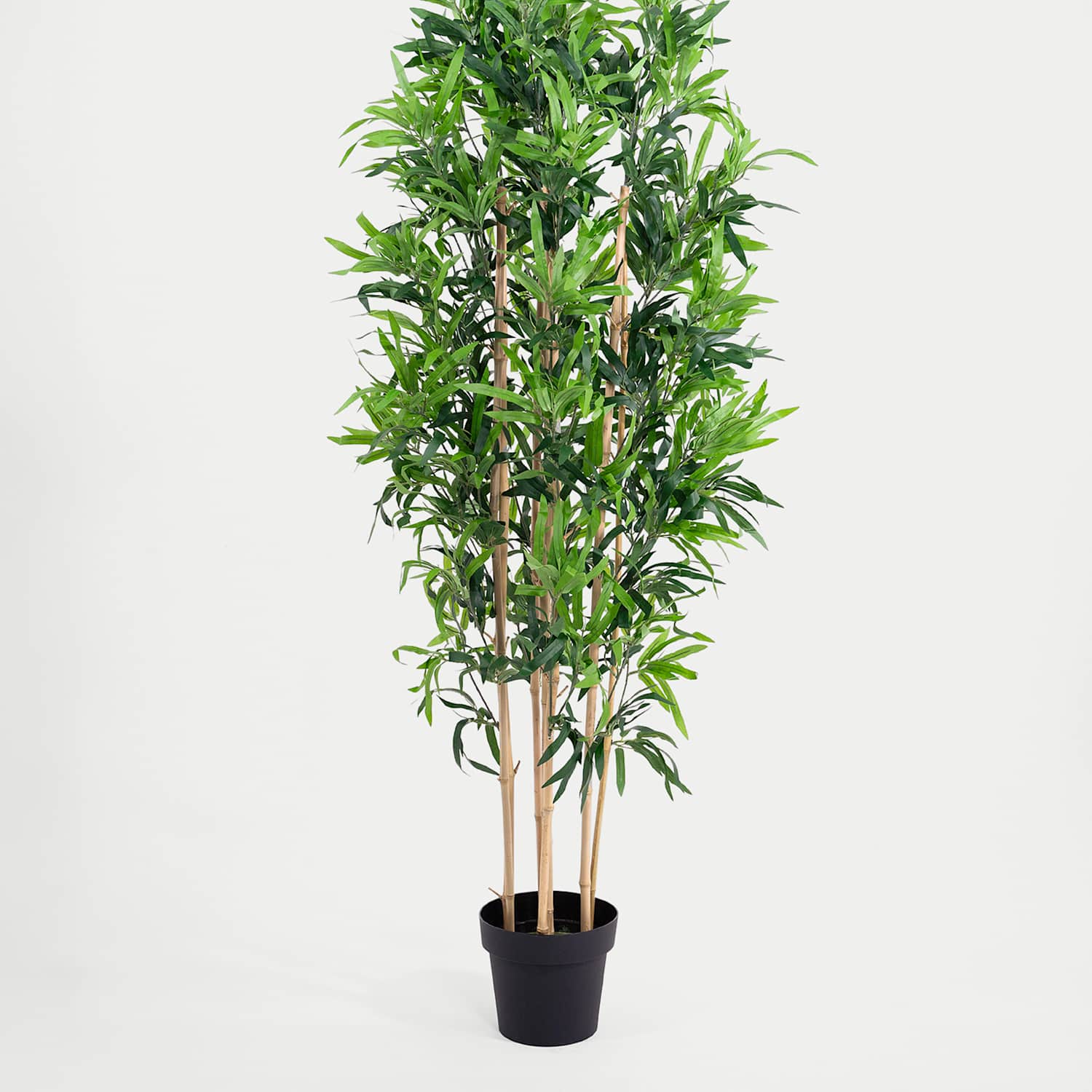 Blooming Artificial 5ft Artificial Oriental Bamboo Tree - Green - Available at M&S