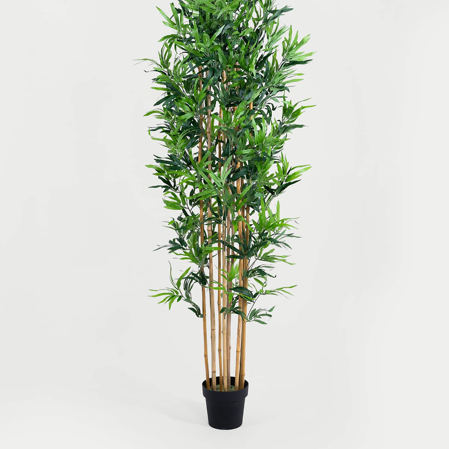 Blooming Artificial 6ft Artificial Floor Standing Bamboo Tree - Green - Available at M&S