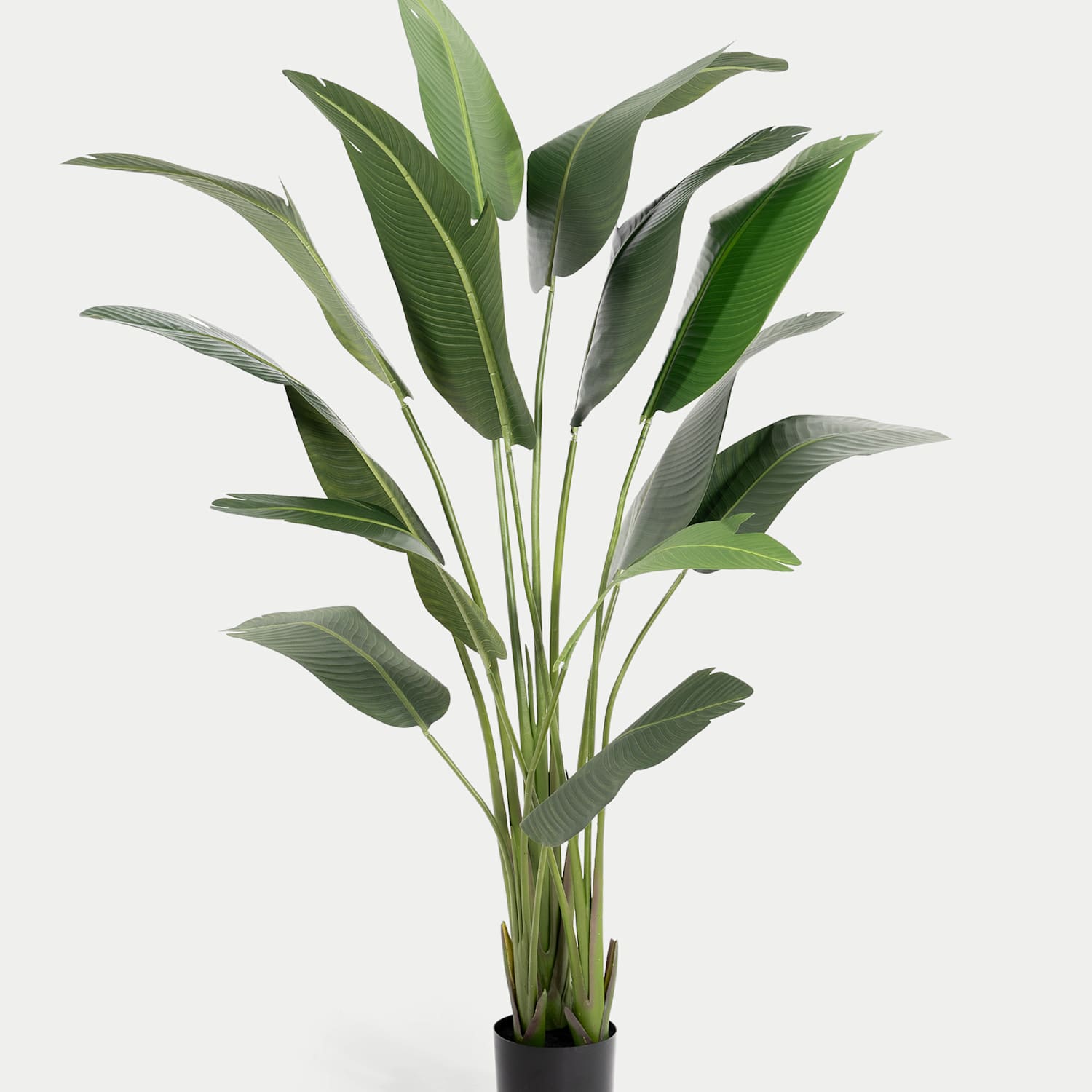 Blooming Artificial Artificial 7ft Strelitzia House Plant in Pot - Green - Available at M&S