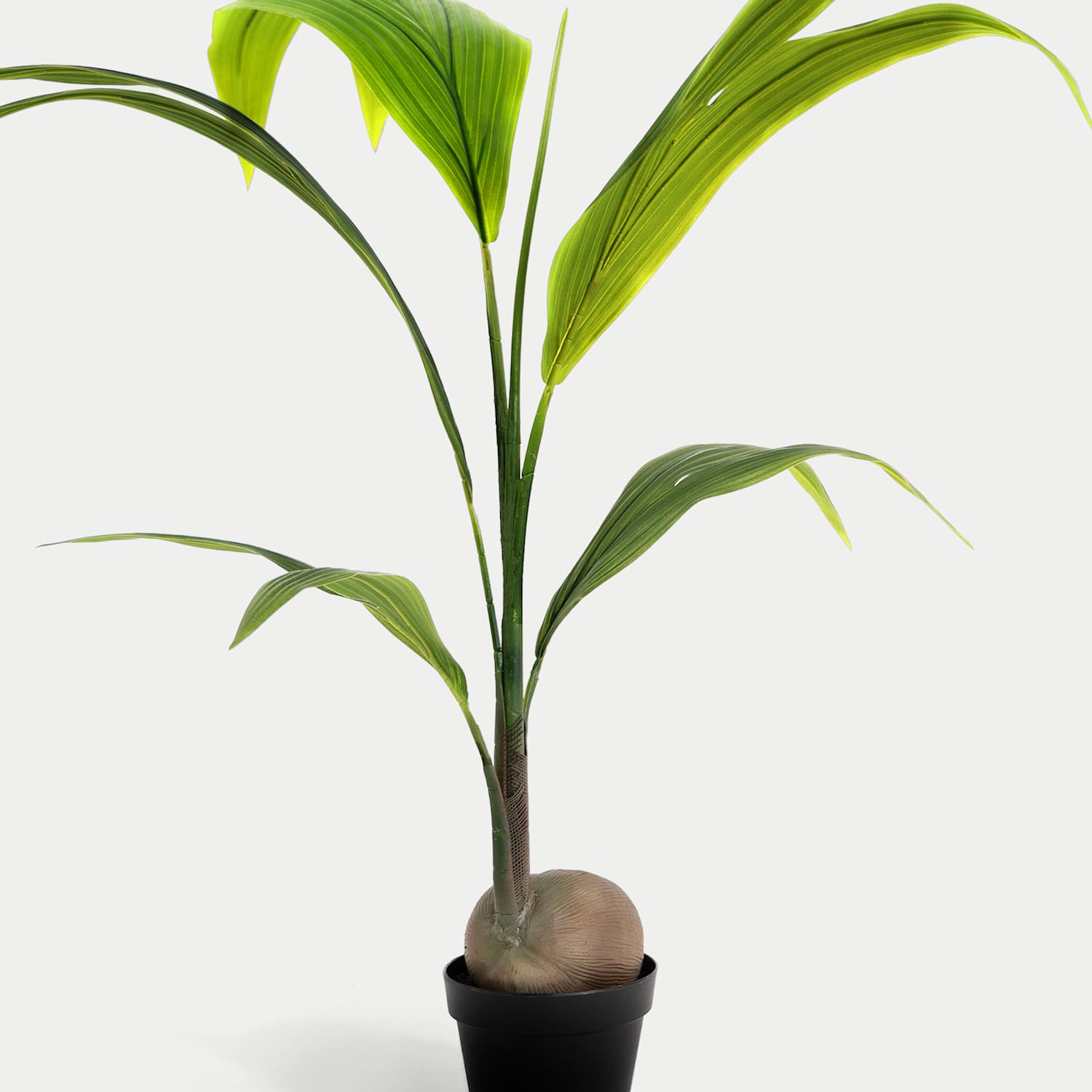 Blooming Artificial 4ft Artificial Coconut Palm - Green - Available at M&S