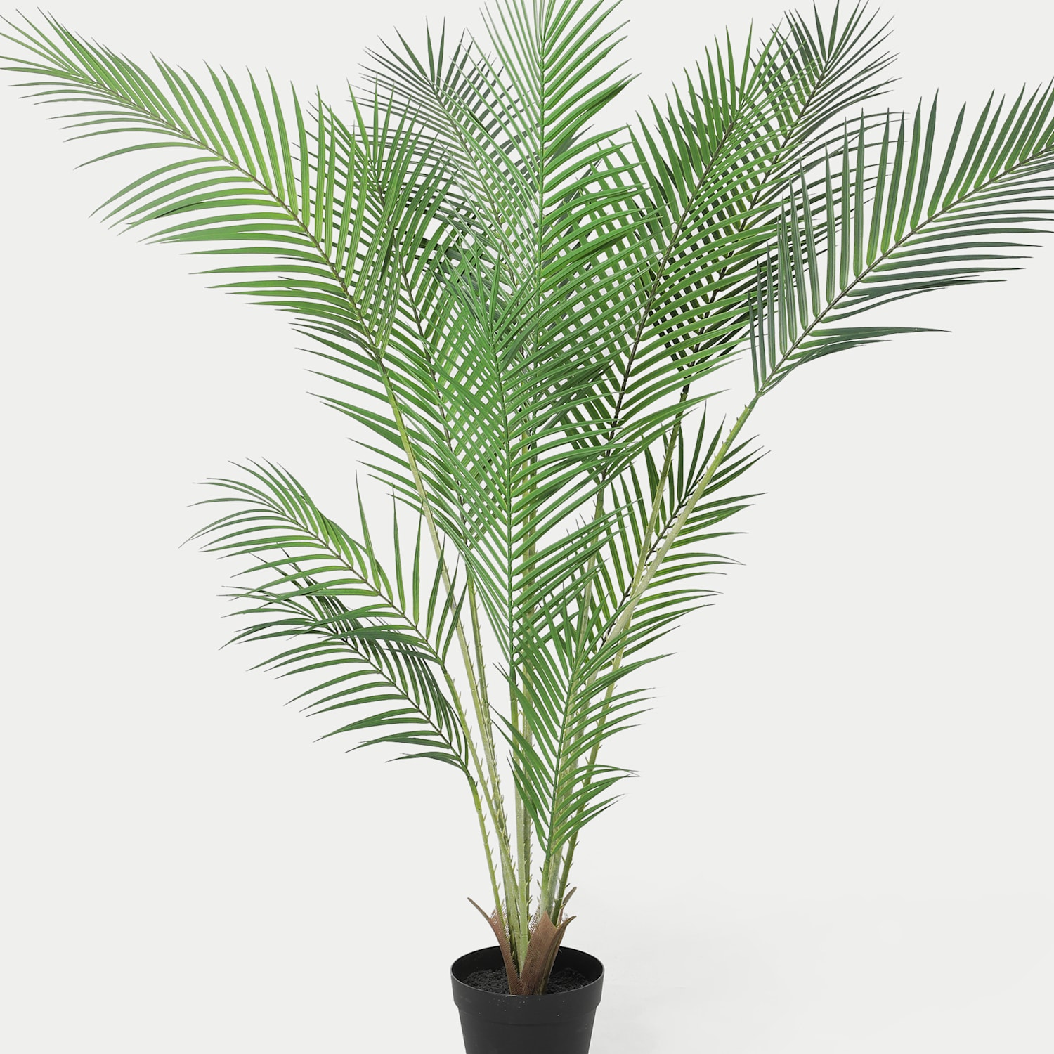 Blooming Artificial 4ft Artificial Majesty Palm Tree - Green - Available at M&S