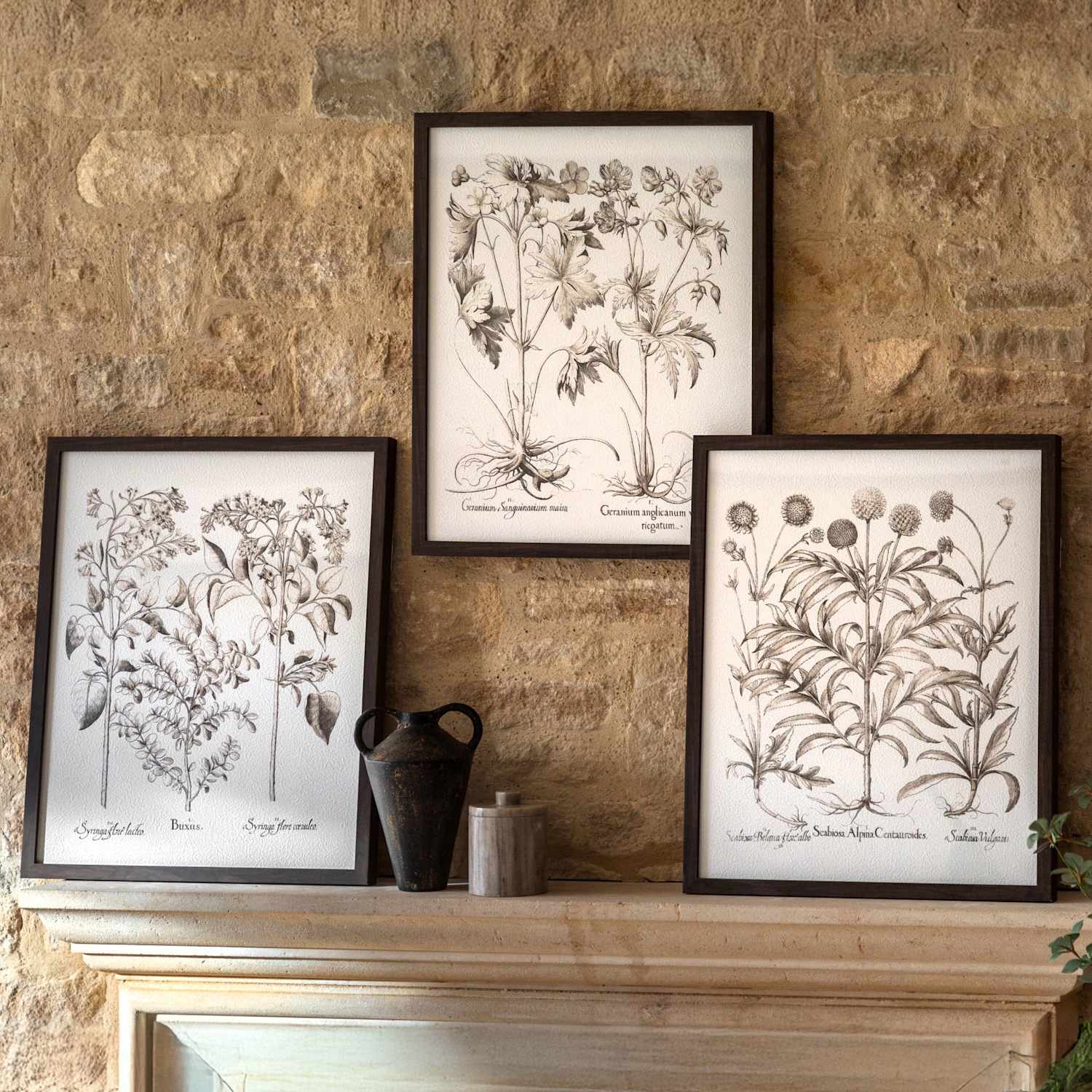 Gallery Direct Set of 3 Evergreen Framed Art - Black - Available at M&S