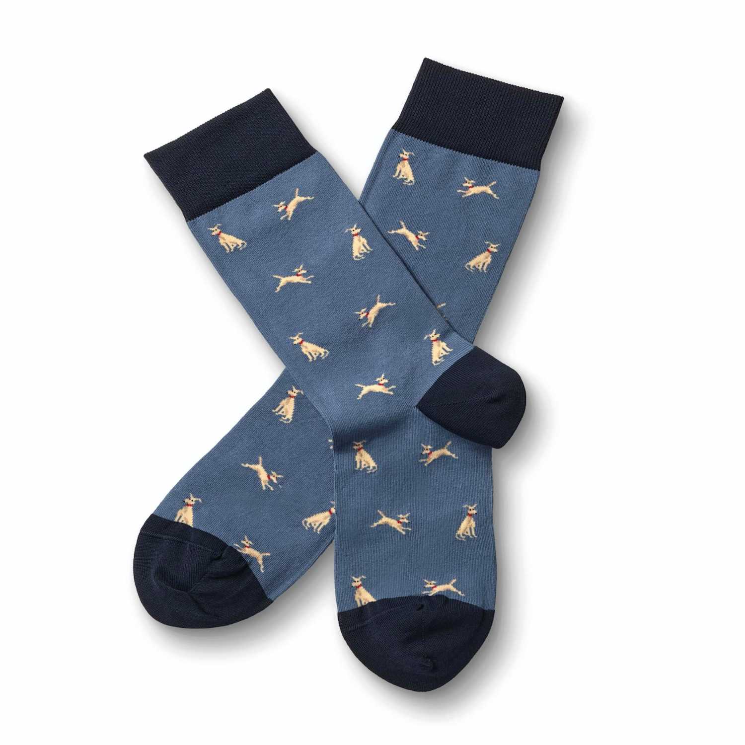 Charles Tyrwhitt Men's Cotton Rich Animal Print Novelty Socks - L - Blue Mix - Available at M&S