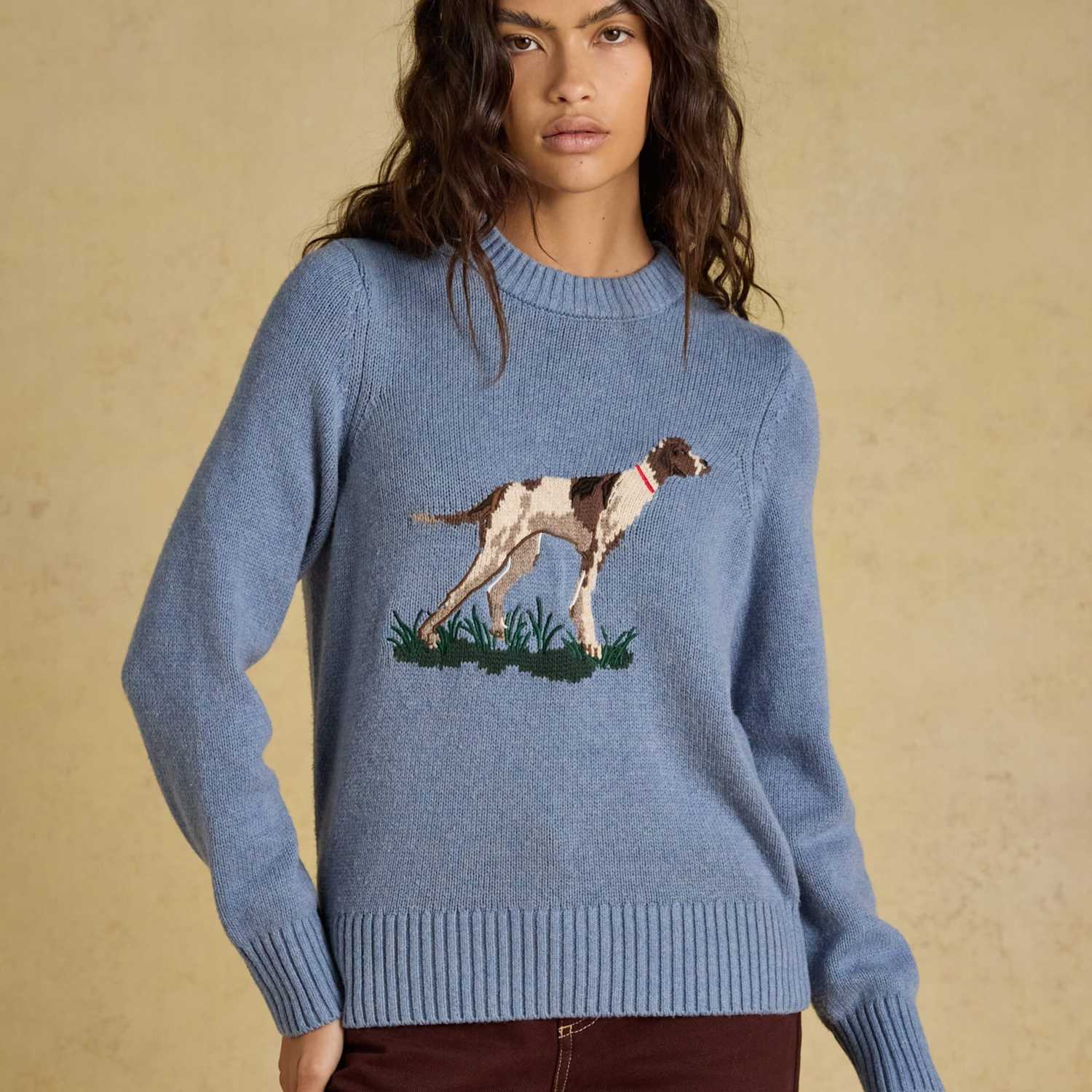 Joules Women's Cotton Rich Intarsia Jumper with Wool - Small - Blue Mix - Available at M&S