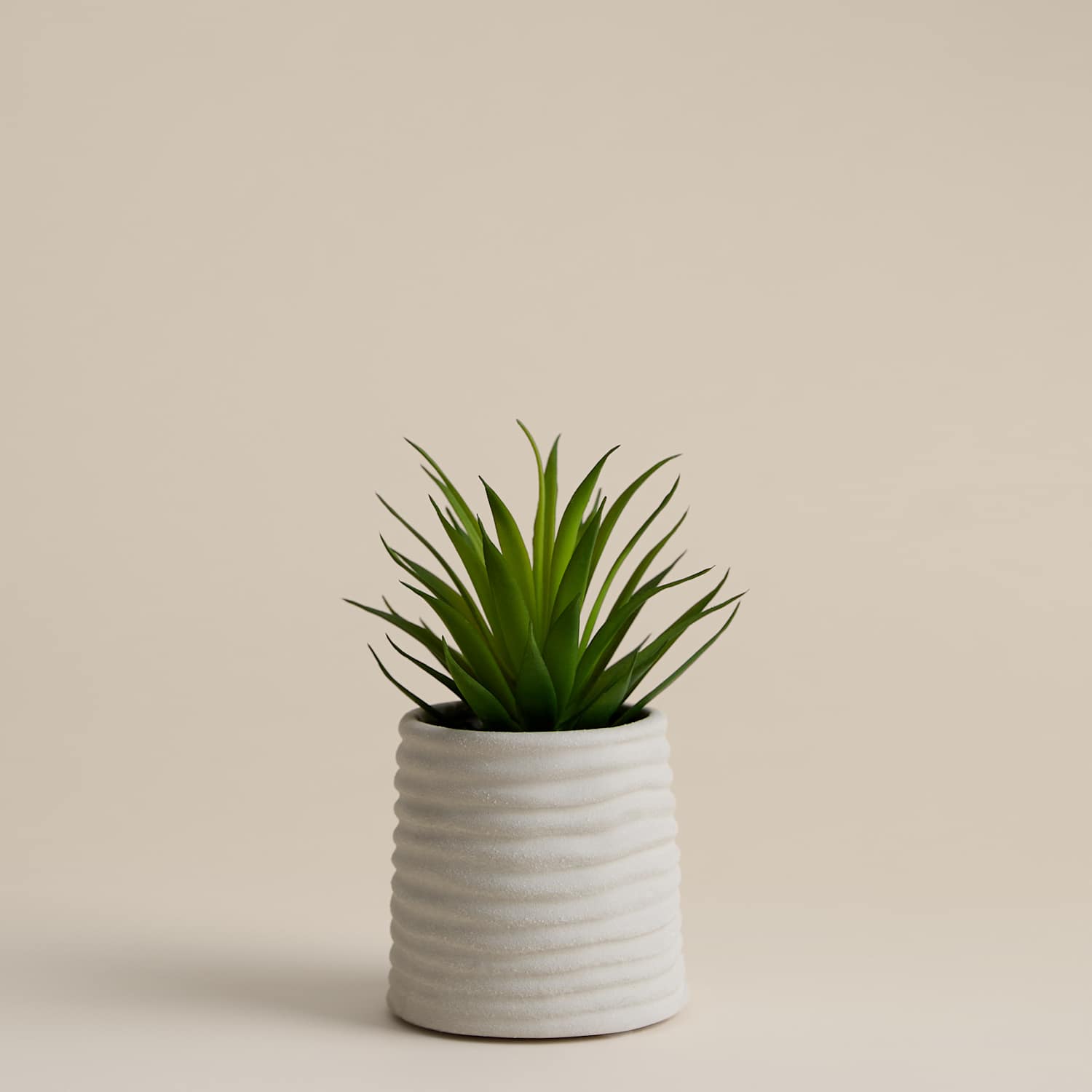 M&S Artificial Mini Air Plant in Ceramic Pot - Natural