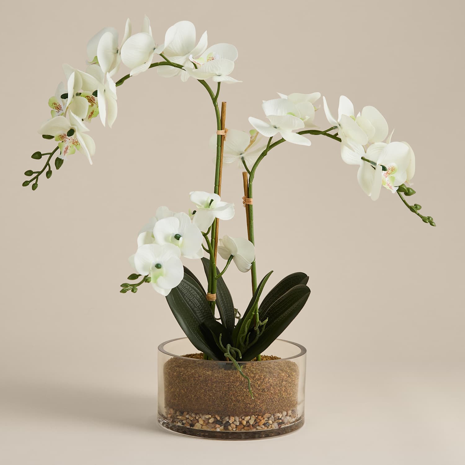 M&S Artificial Large Orchid in Glass Pot - White