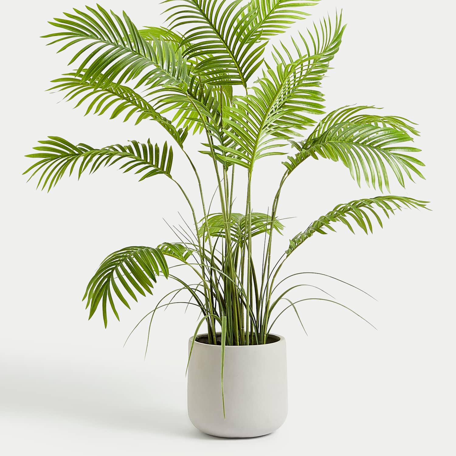 Moss & Sweetpea Artificial Floor Standing Palm - Green - Available at M&S