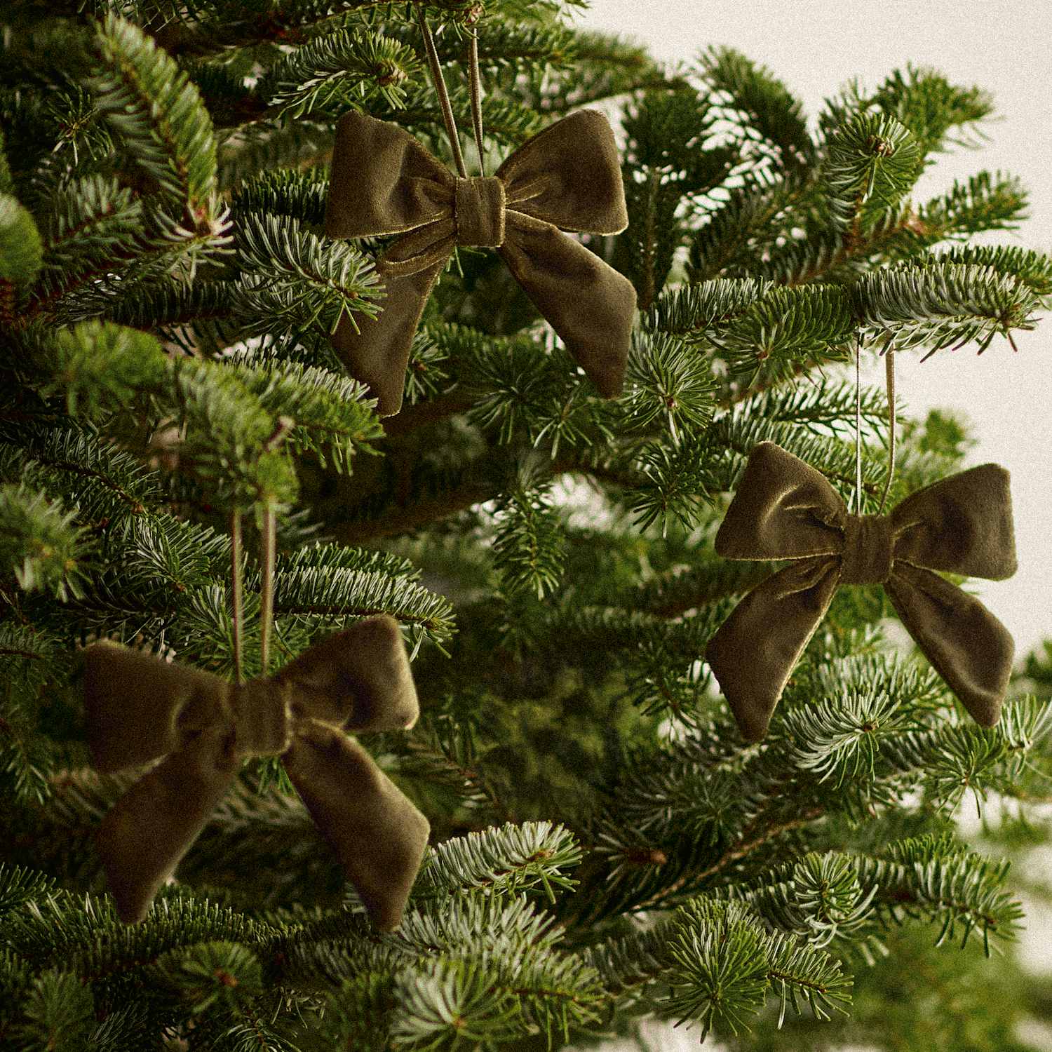 M&S 3 Pack Velvet Bows - Green
