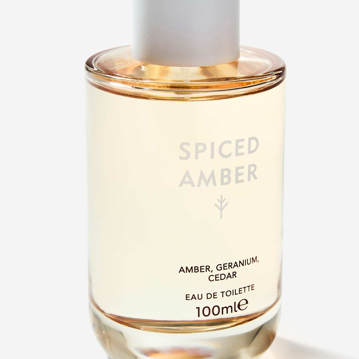 Discover Women's Spiced Amber Eau De Toilette 100ml