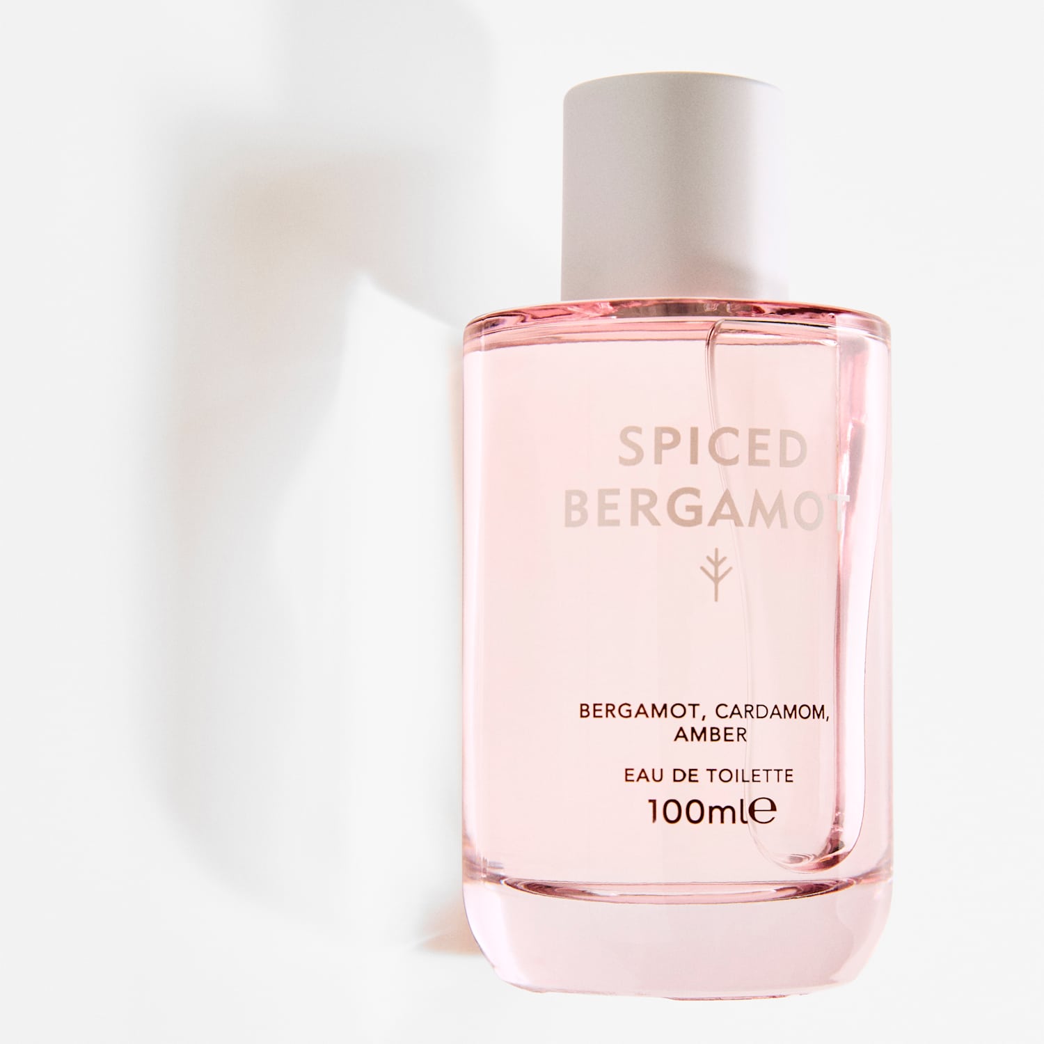 Discover Women's Spiced Bergamot Eau de Toilette 100ml