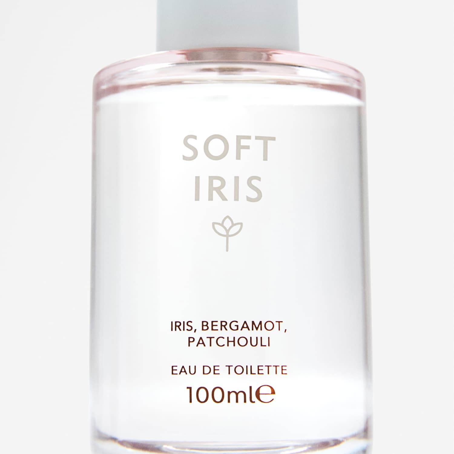Discover Women's Soft Iris Eau de Toilette 100ml