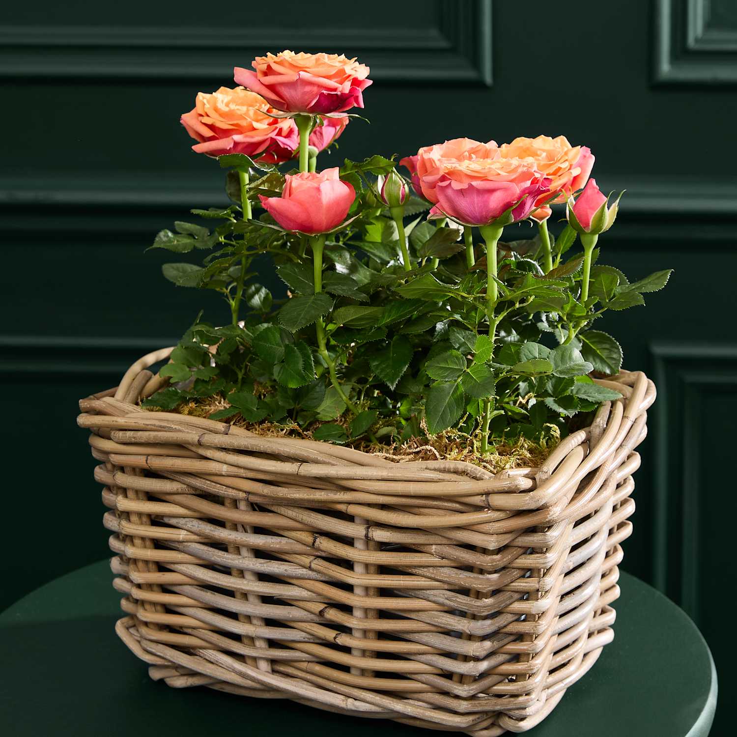 M&S Flower Market Luxury Rose Duo in Kubu Basket