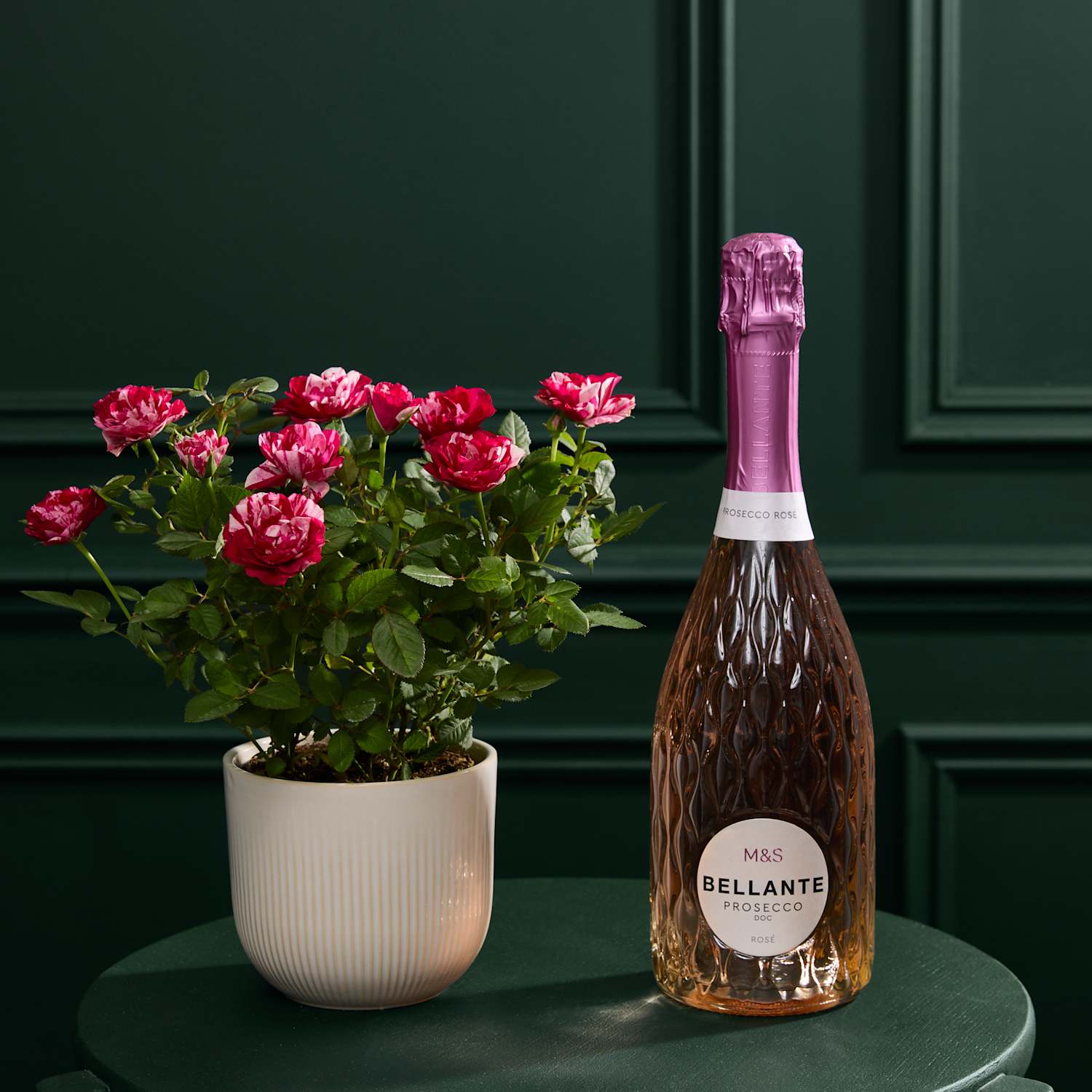 M&S Flower Market Gigi Rose in Ceramic Pot with Prosecco