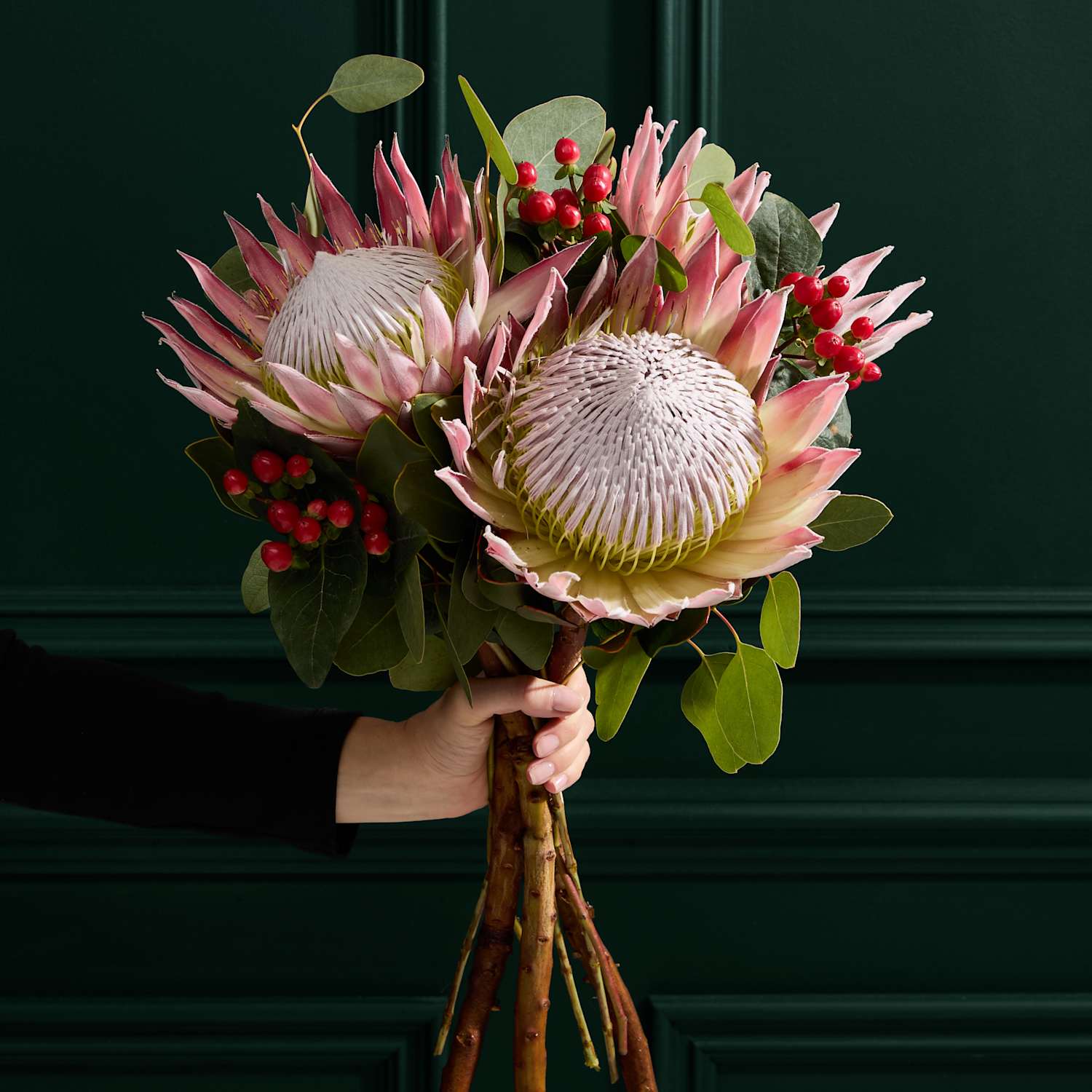 M&S Flower Market King Protea Bouquet