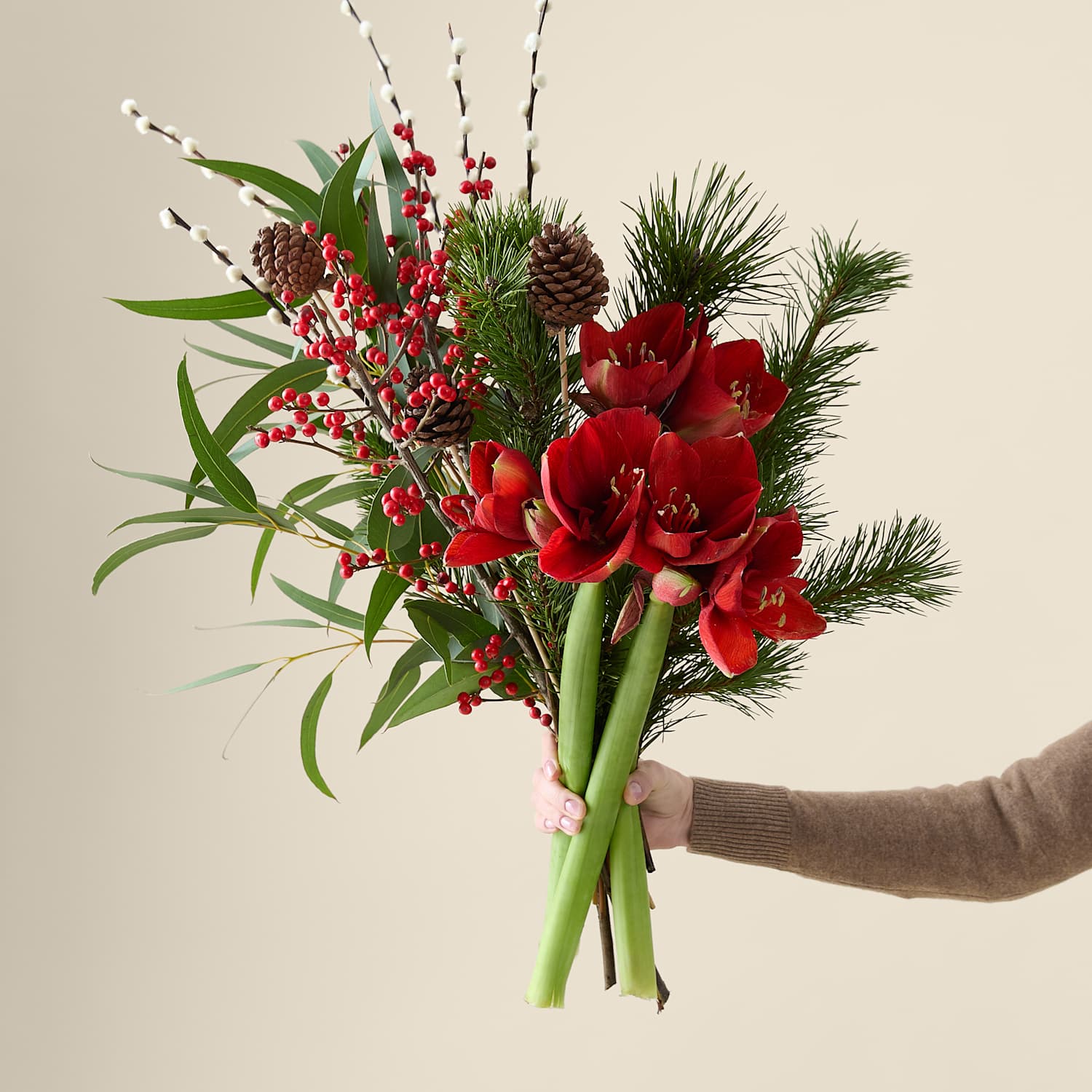 M&S X Kelly Hoppen Festive Red Amaryllis Bouquet