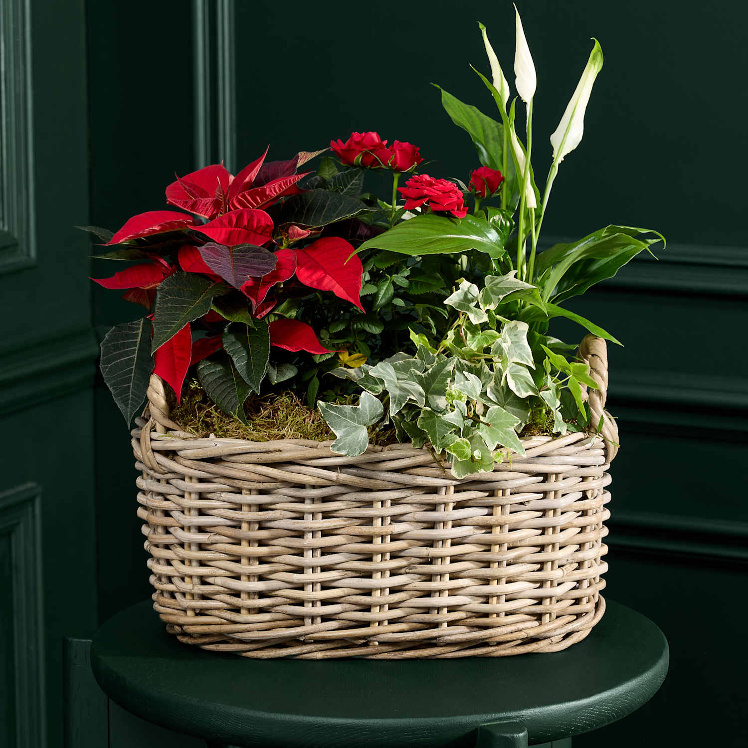 M&S Flower Market Large Red Christmas Flowering Plant Basket