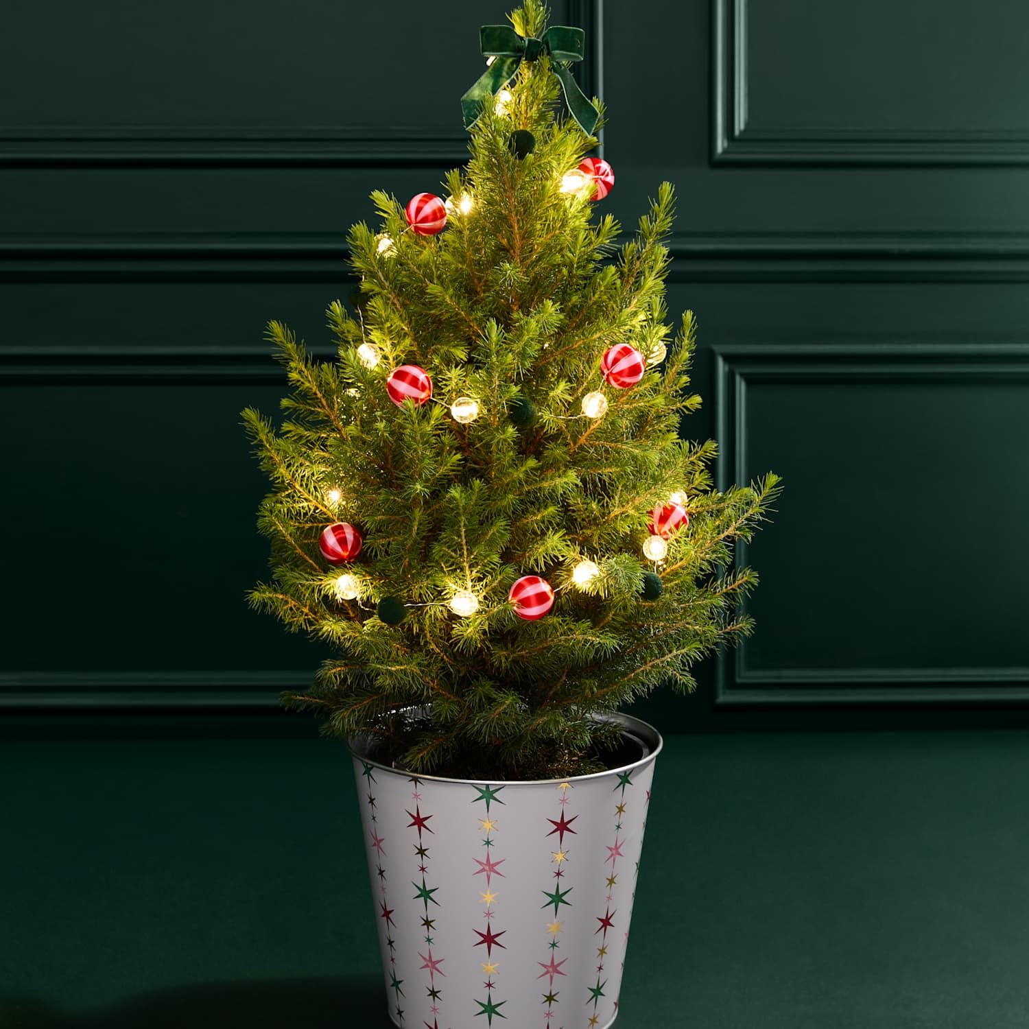 M&S Flower Market Luxury Real Christmas Tree with Festive Star Pot