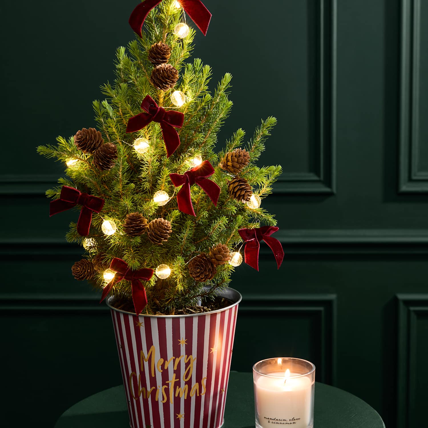M&S Flower Market Mini Real Christmas Tree in Red Striped 'Merry Christmas' Pot with Candle
