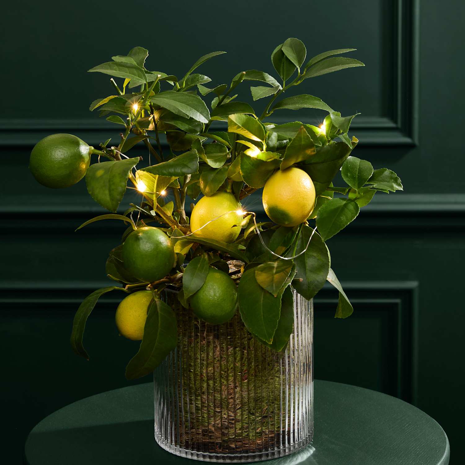 M&S Flower Market Festive Citrus Tree in Mercury Glass Pot with Lights
