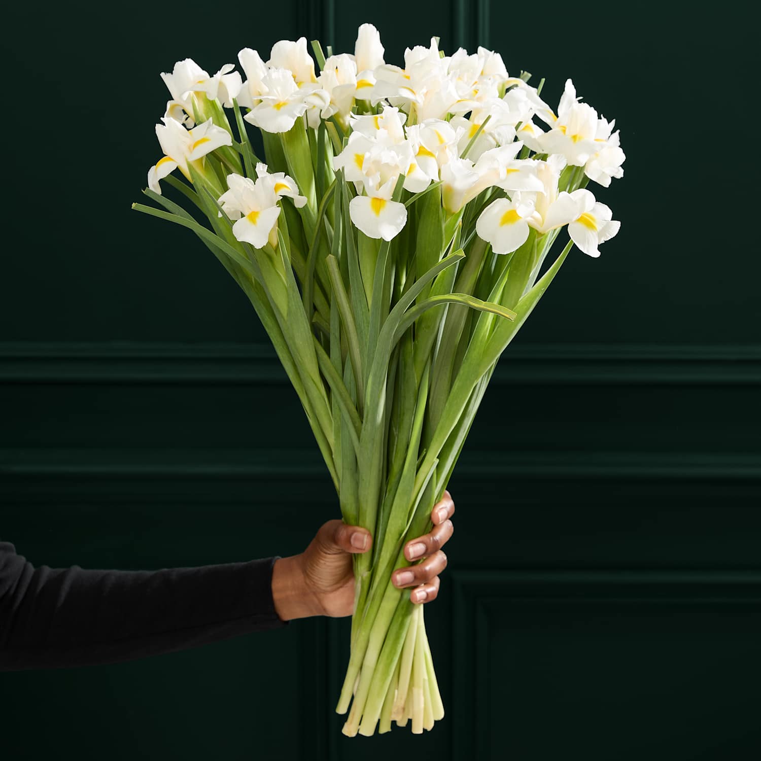 M&S Flower Market White Iris Letterbox Flowers