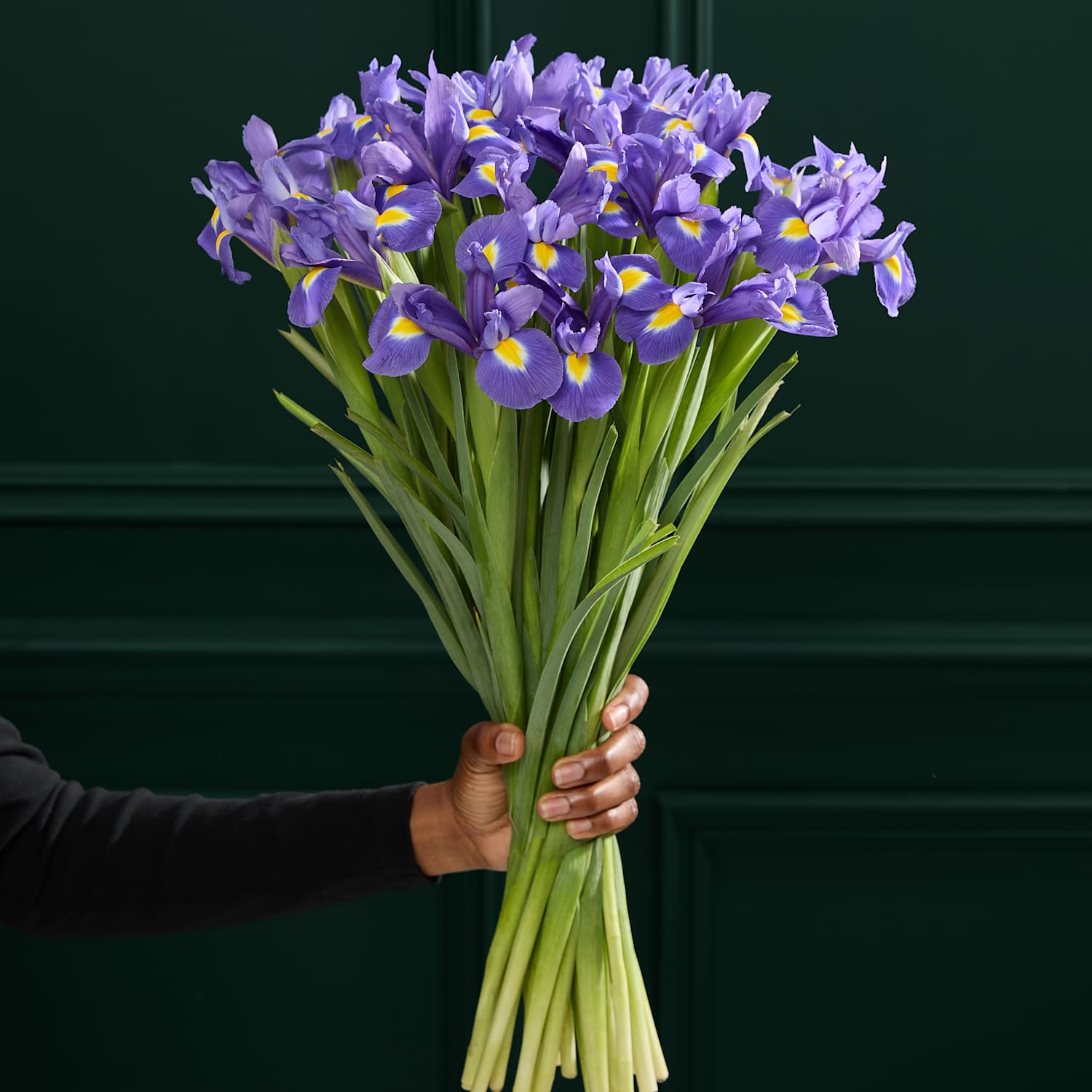 M&S Flower Market Blue Iris Letterbox Flowers