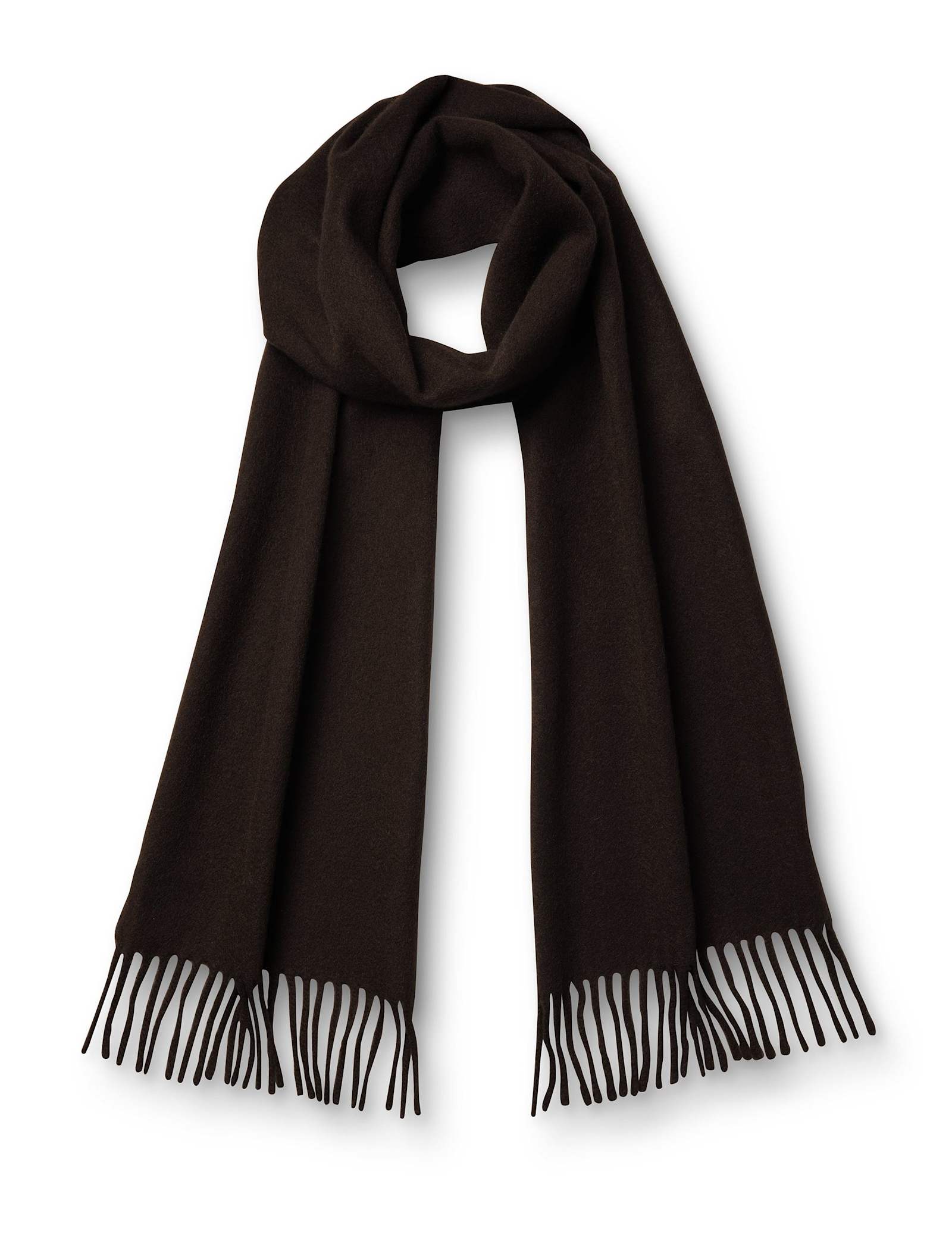 Pure Cashmere Fringed Scarf - image 1