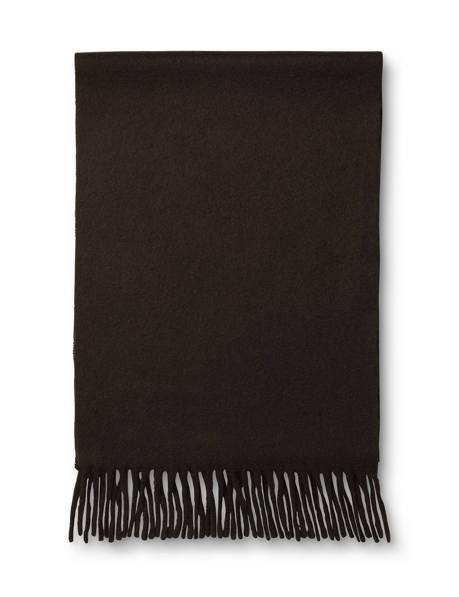 Pure Cashmere Fringed Scarf - image 3