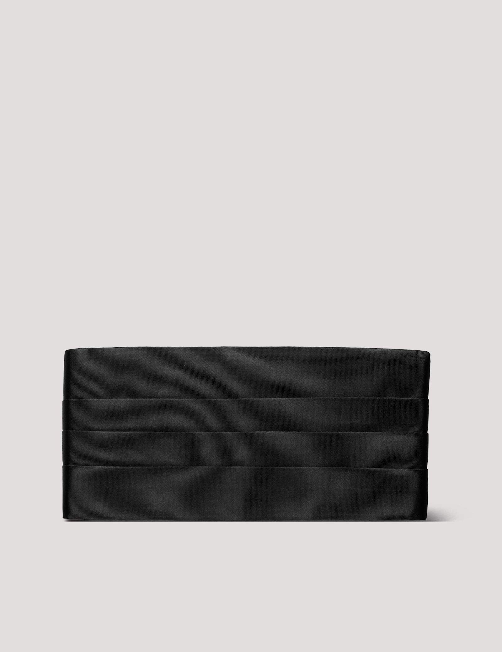 Pure Silk Cummerbund - image 1