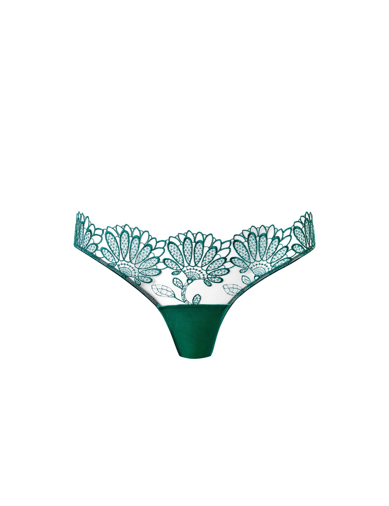 Amaris Embroidered Mesh Briefs - image 1