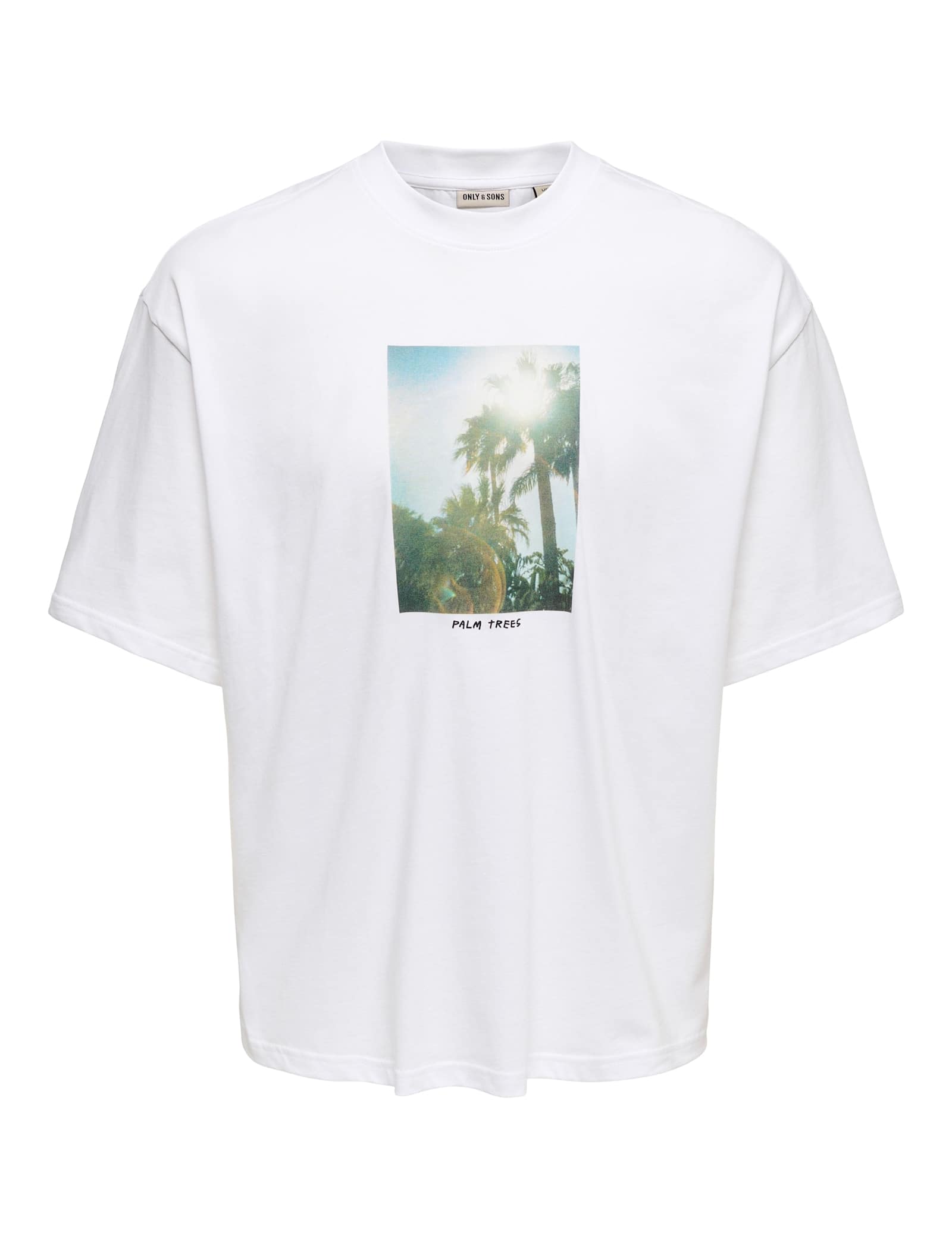 Oversized Pure Cotton Crew Neck T-Shirt - image 2
