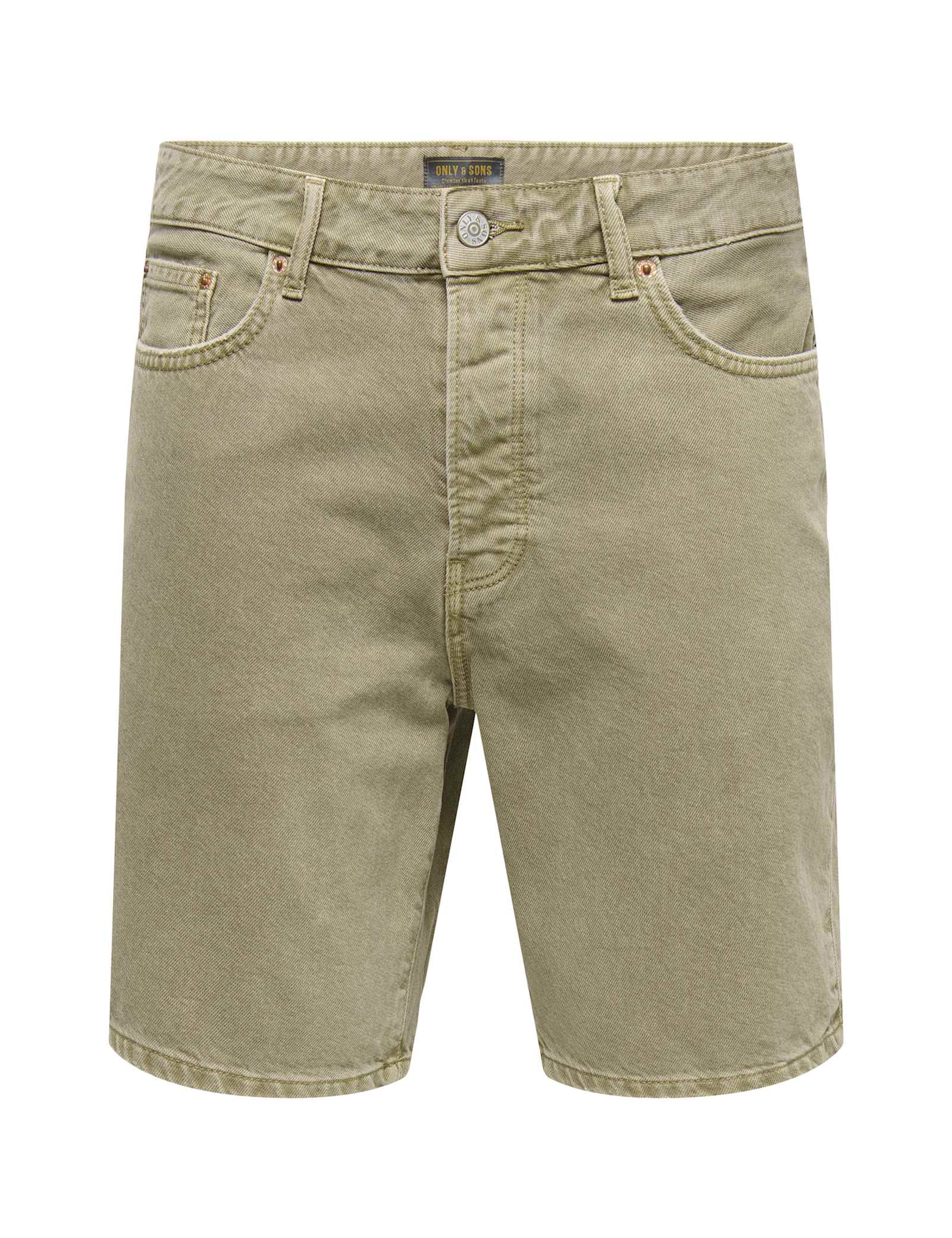 Regular Fit Denim Shorts - image 1