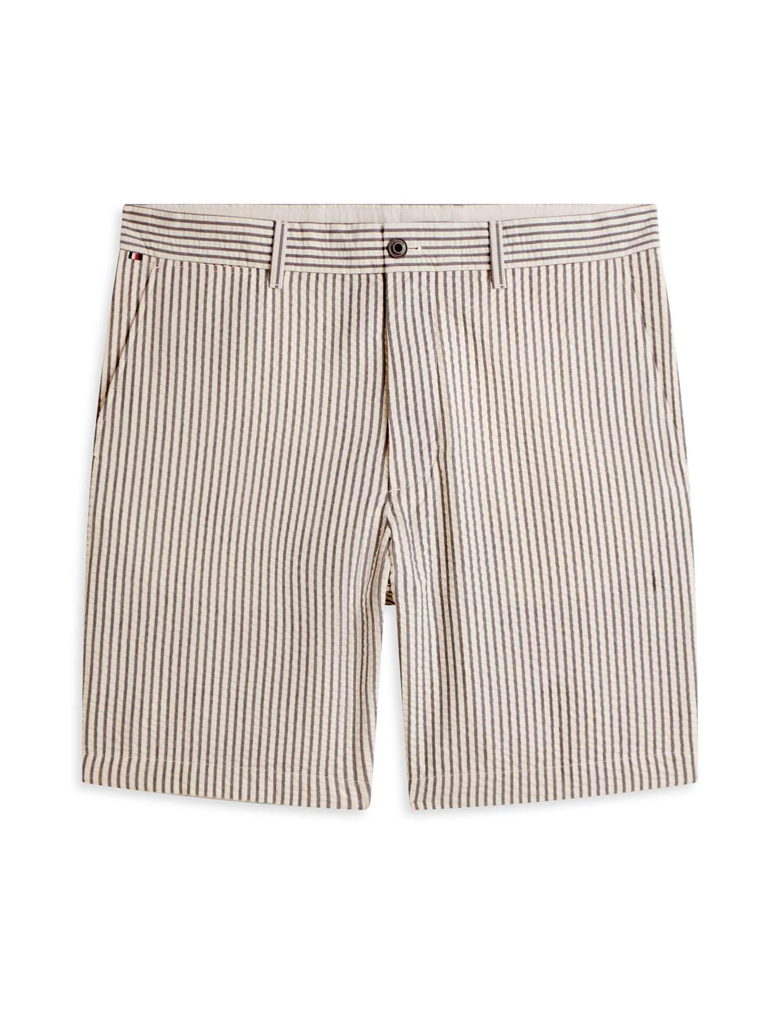 Regular Fit Striped Chino Shorts - image 1